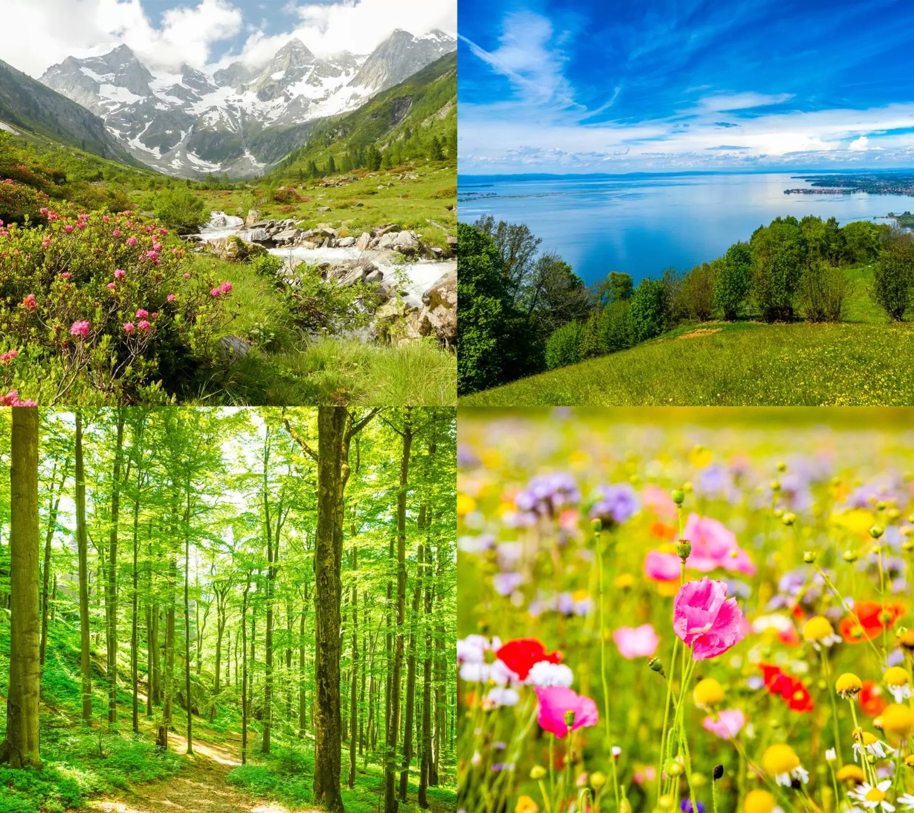 Spa and wellness centre/facilities in Fritsch am Berg - Adults only