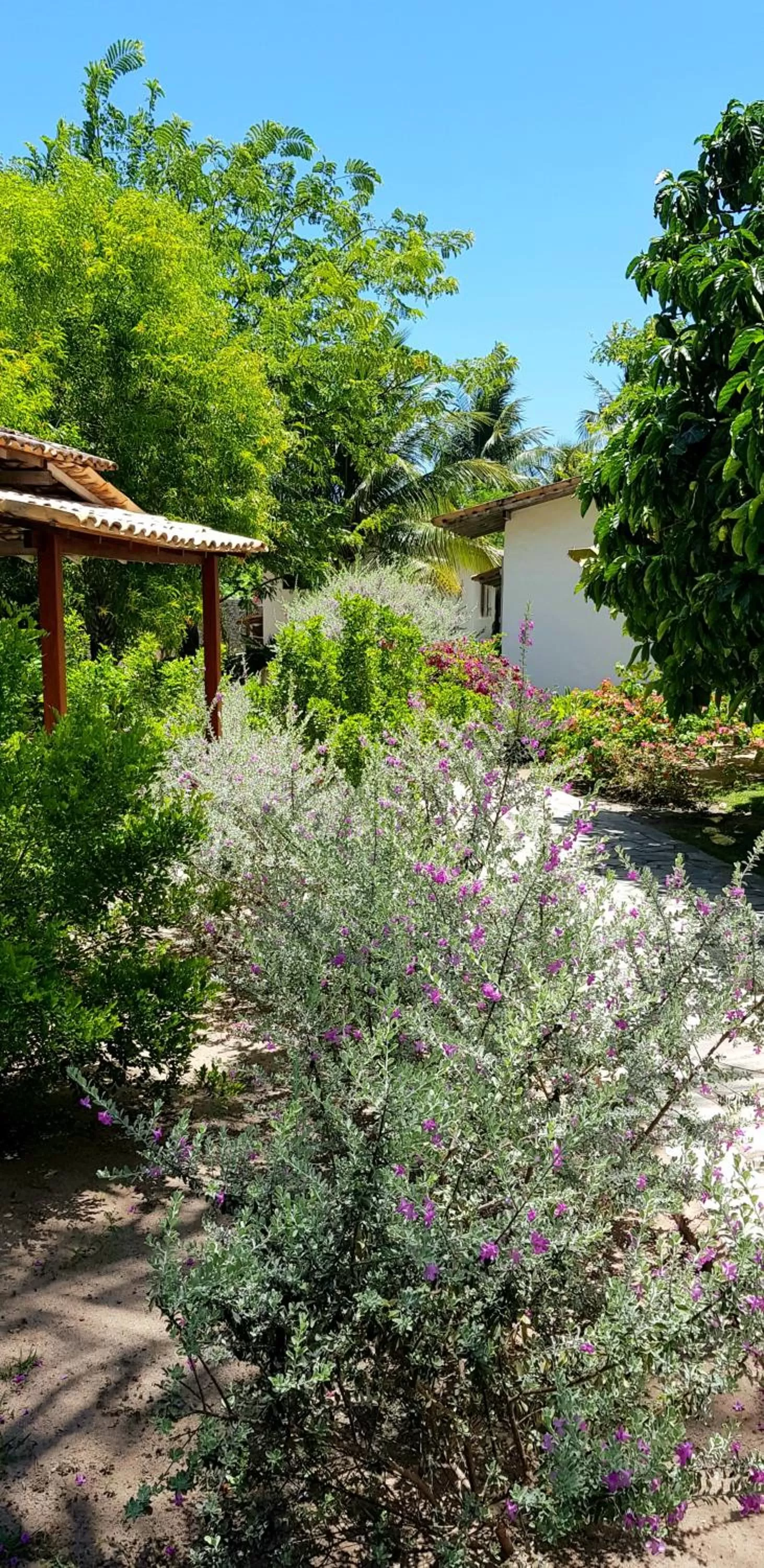 Garden in Pousada Villages Boutique Hotel - 150m da Praia da Laje