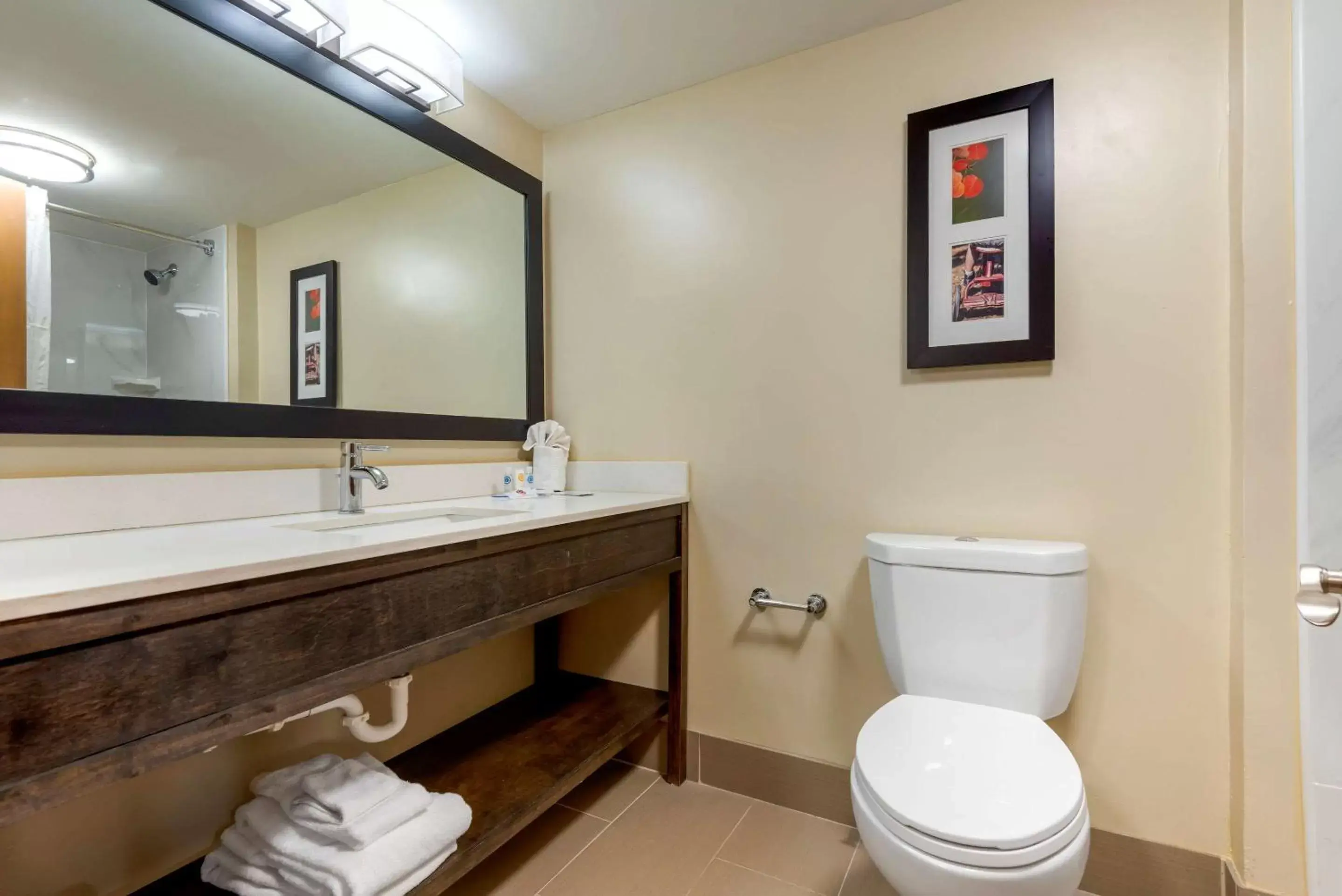 Photo of the whole room, Bathroom in Comfort Inn Binghamton I-81