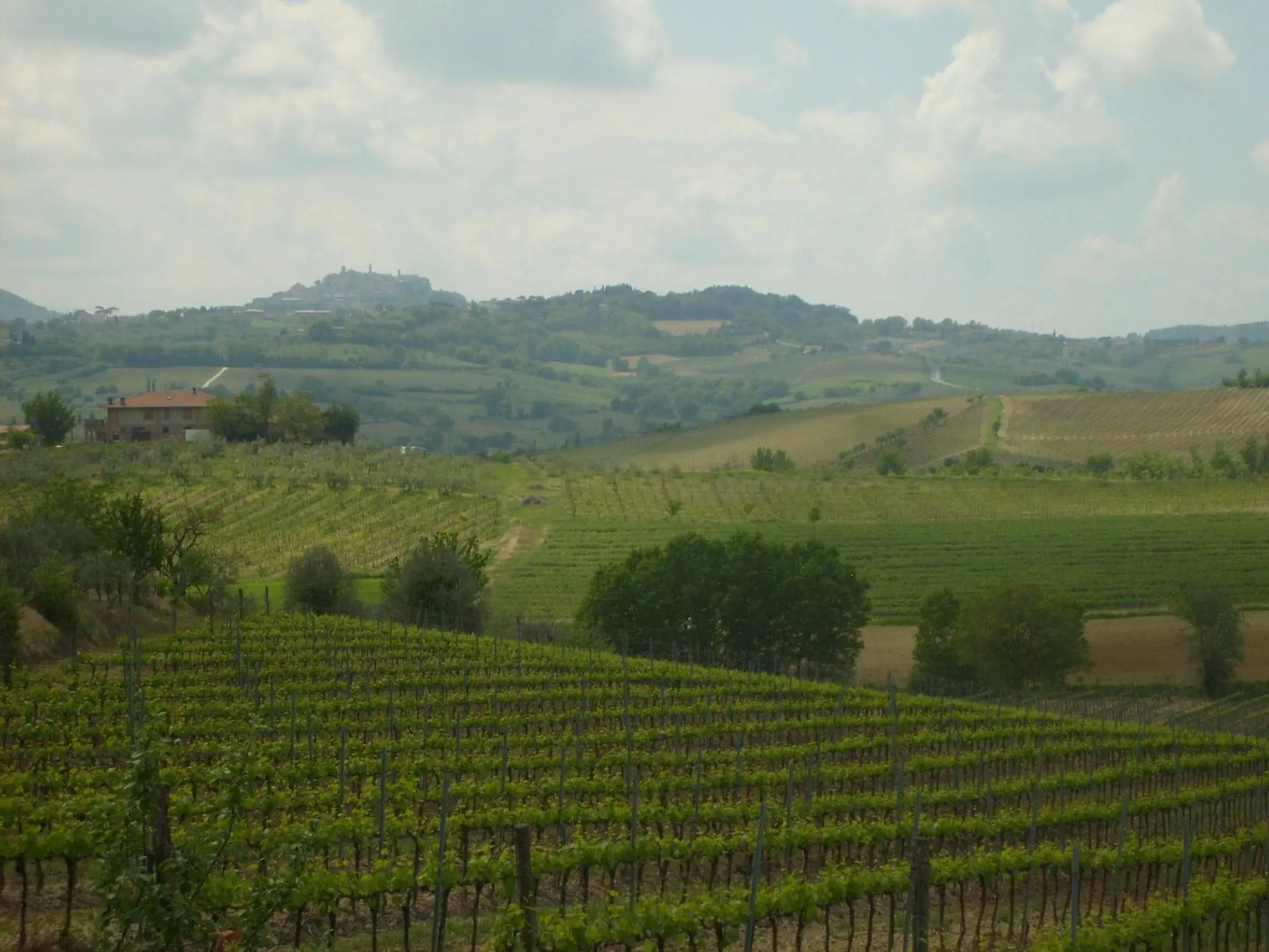 View (from property/room), Natural Landscape in L'Orto Di Panza