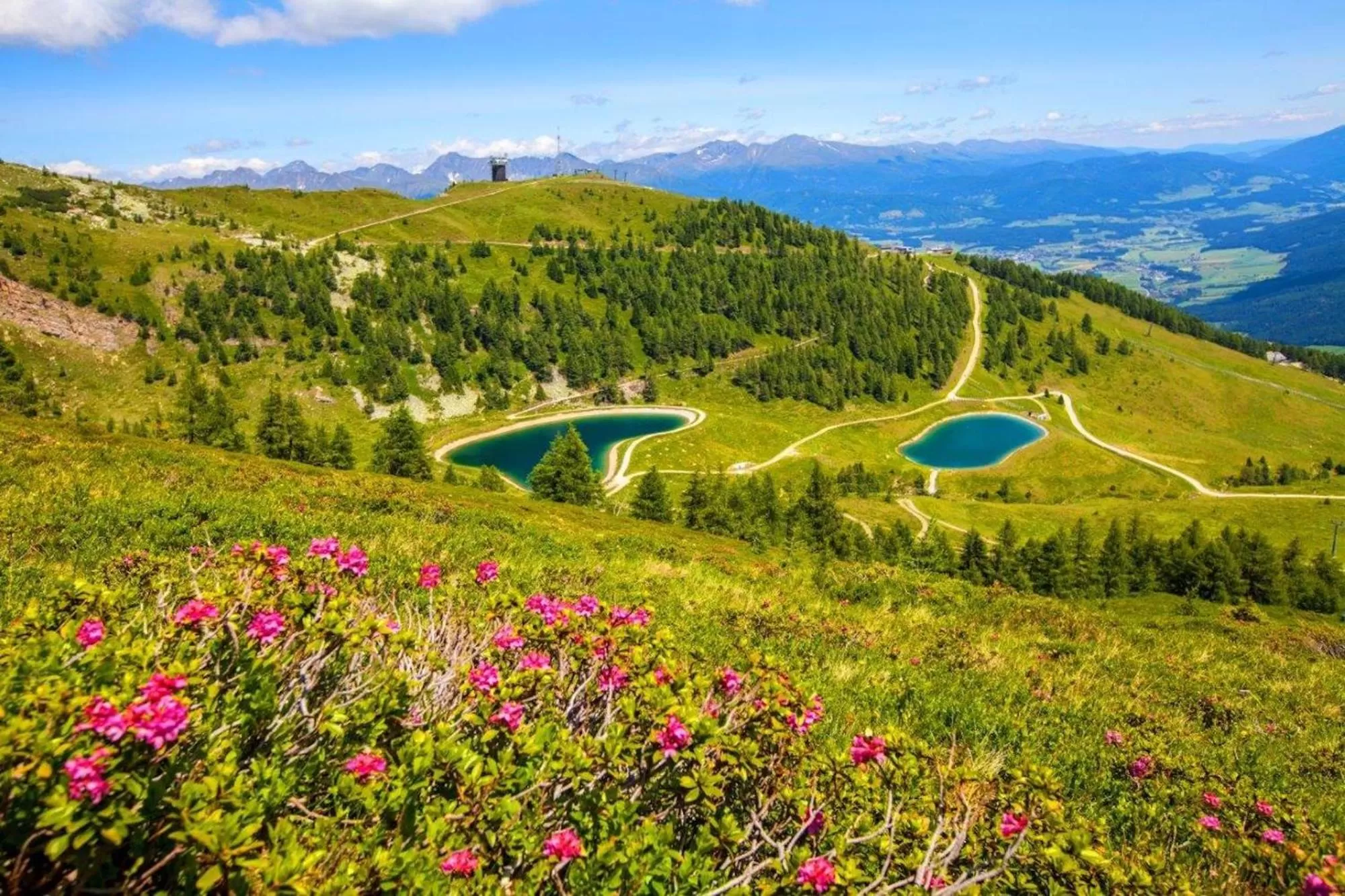 Hiking in Stoagas Waidblick