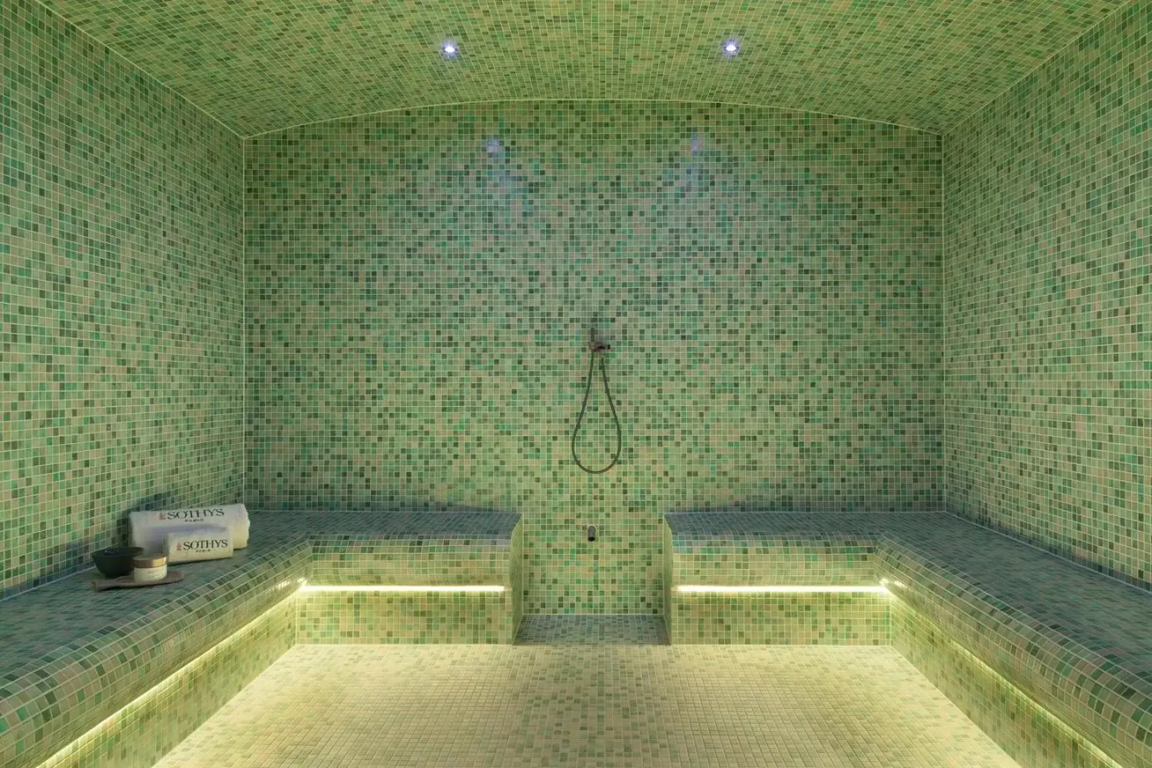 Steam room, Spa/Wellness in Citadines Eurometropole Strasbourg