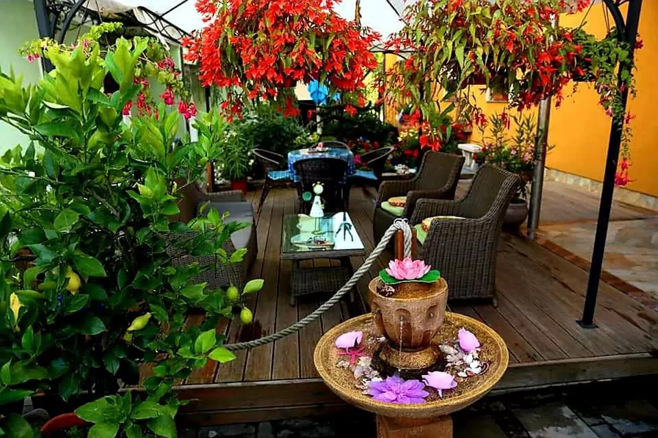 Garden in Hostel Sonce