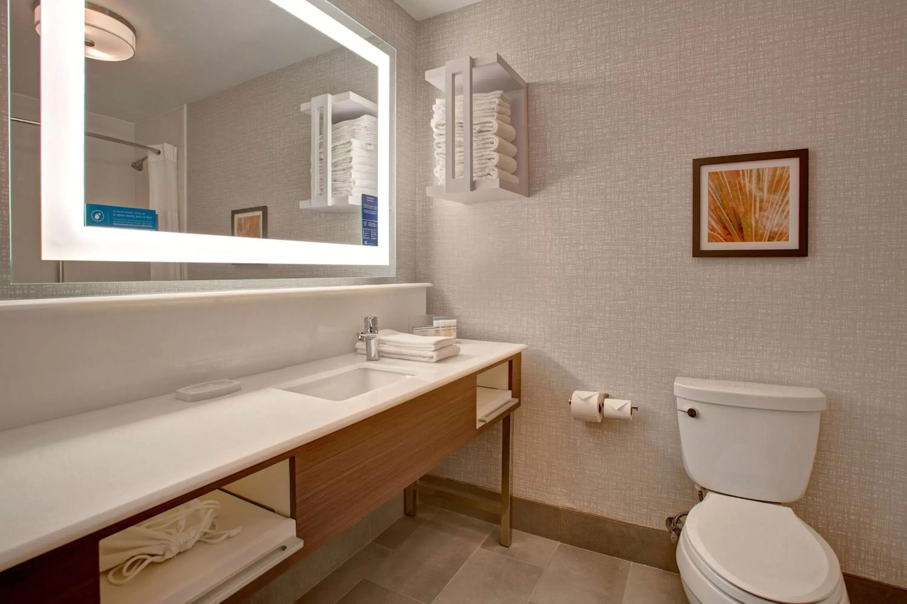 Bathroom in Hampton Inn & Suites Borger