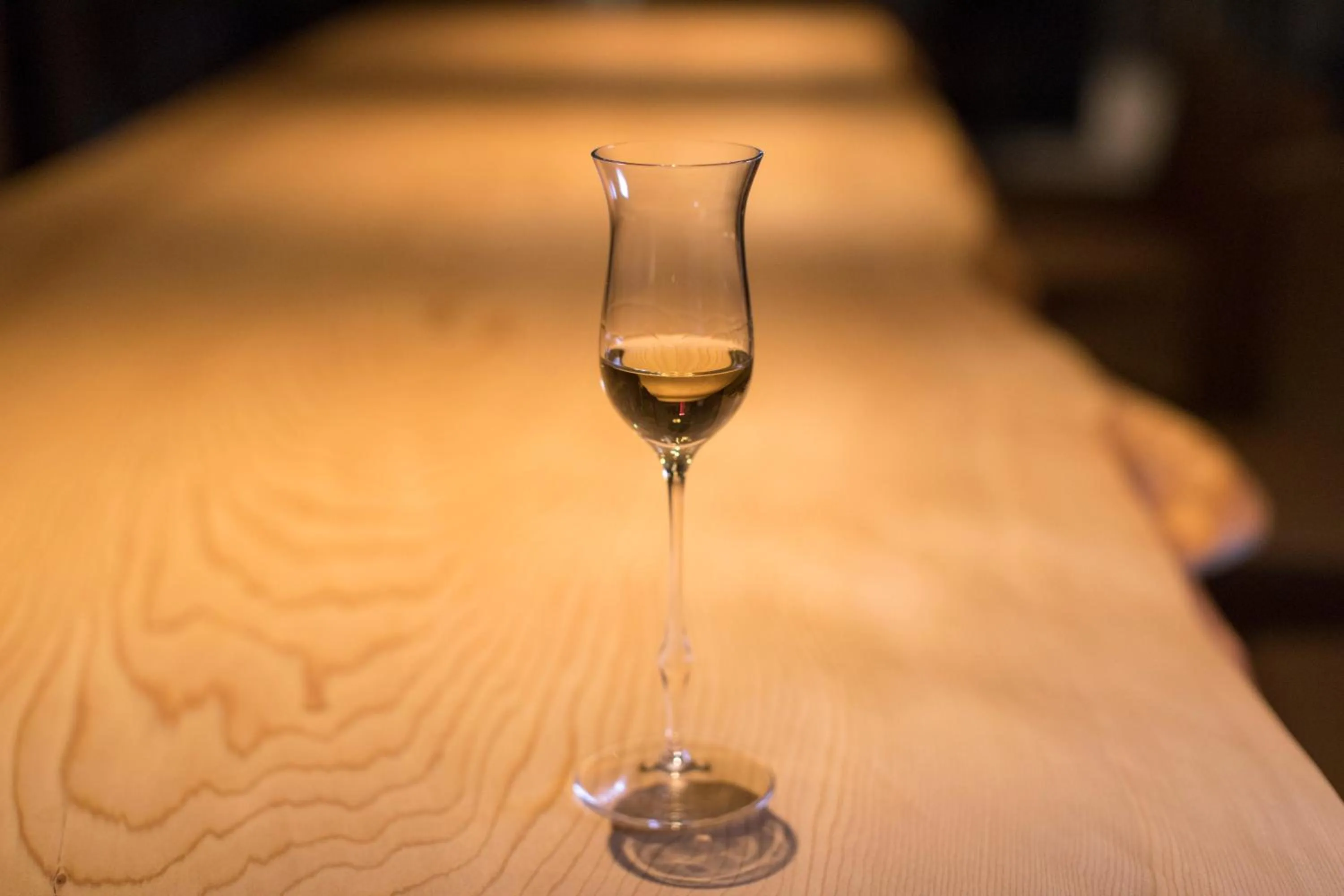 Lounge or bar in My K House