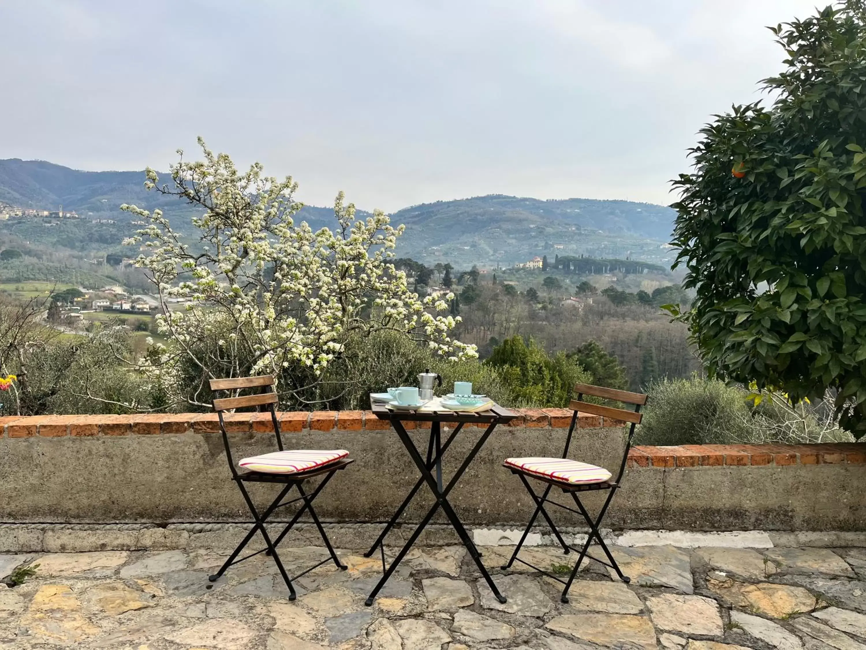 Garden in Casa del Pino