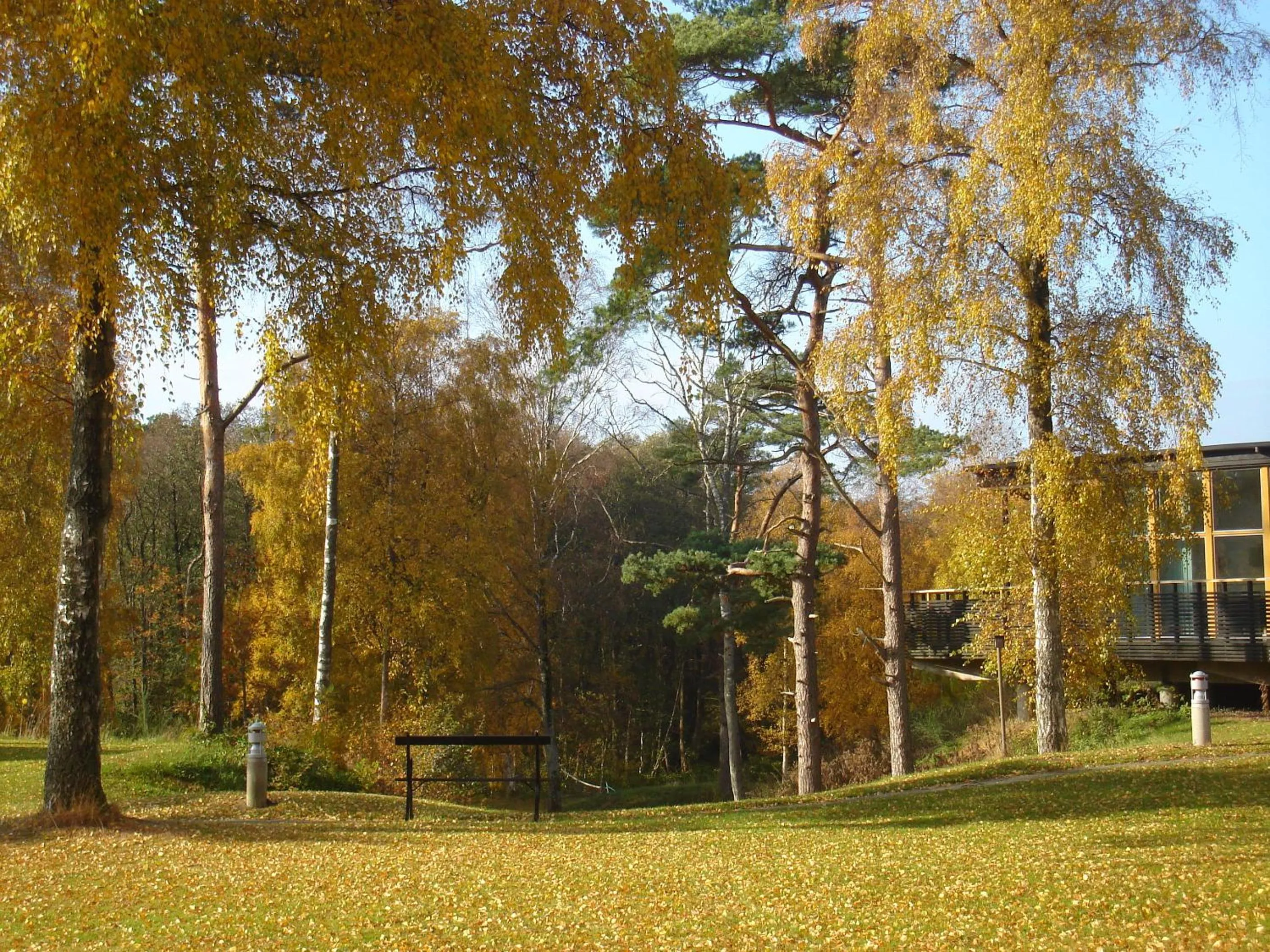 Area and facilities in Tylebäck Hotell & Konferens, BW Signature Collection