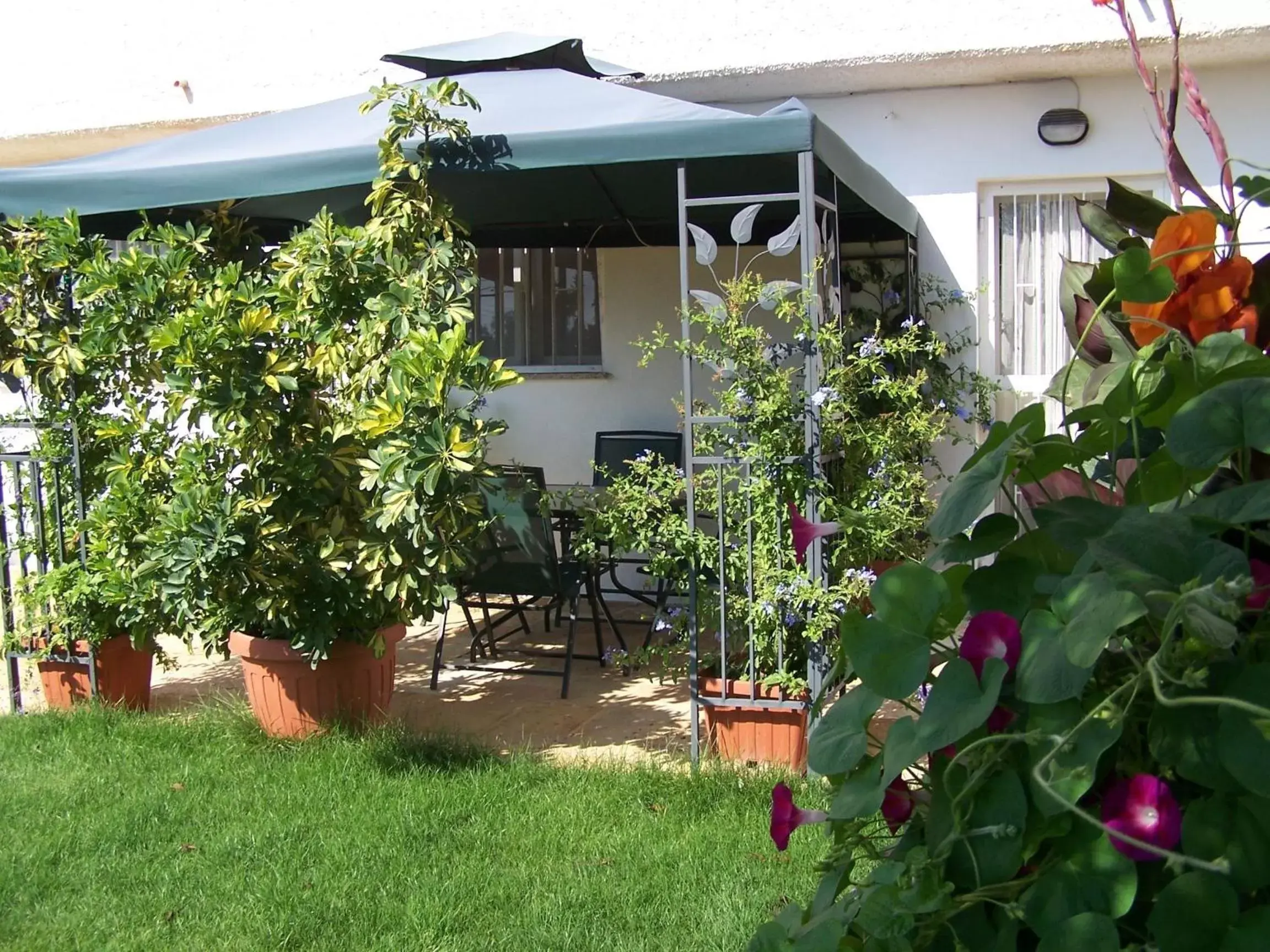 Garden in Residenza Aurora