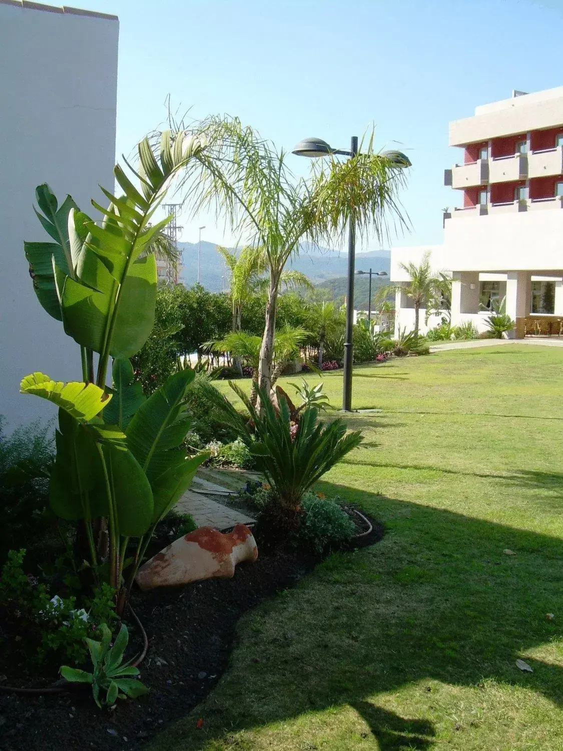 Garden in Hotel Montera Plaza