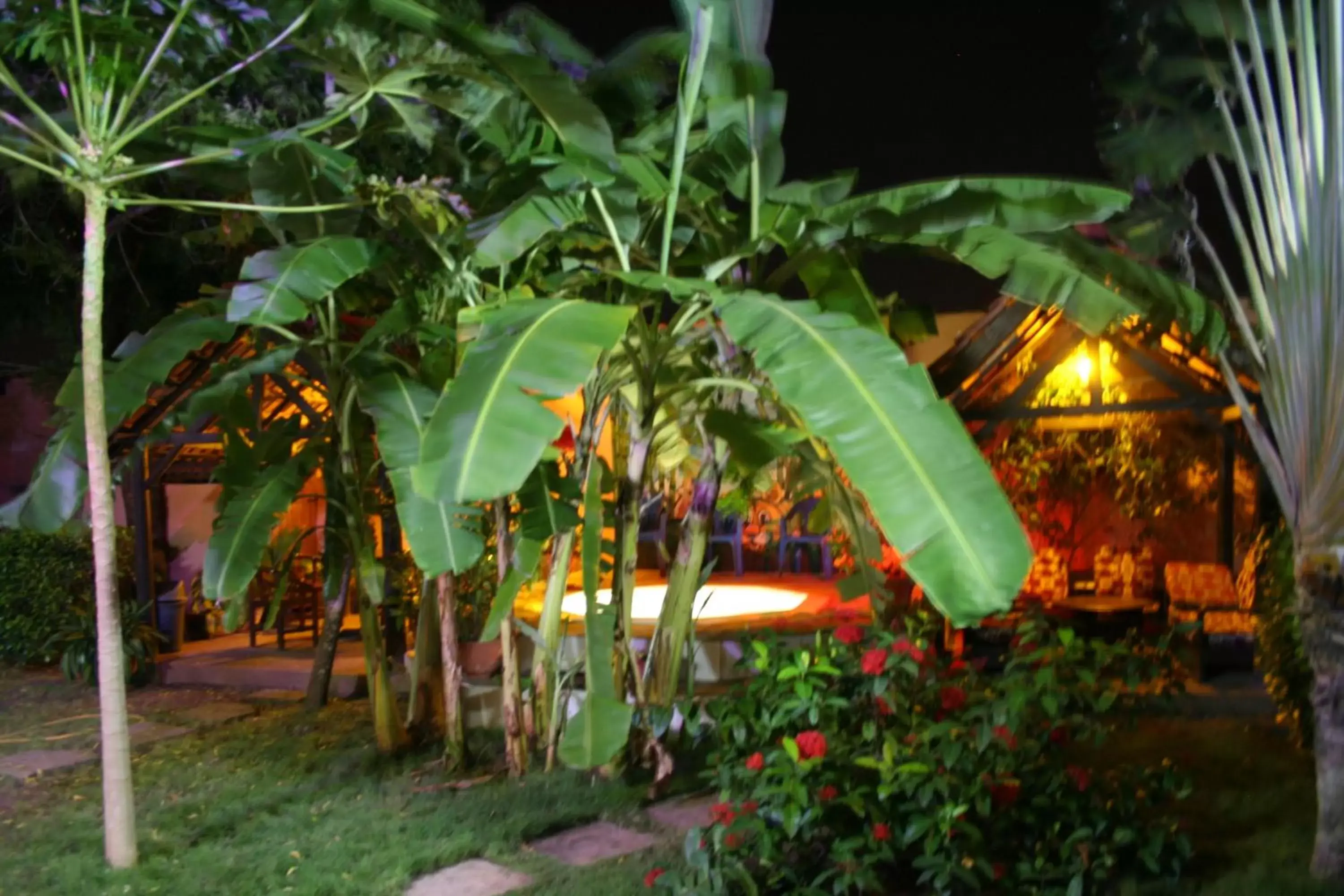 Garden in Hotel Aurore Lomé