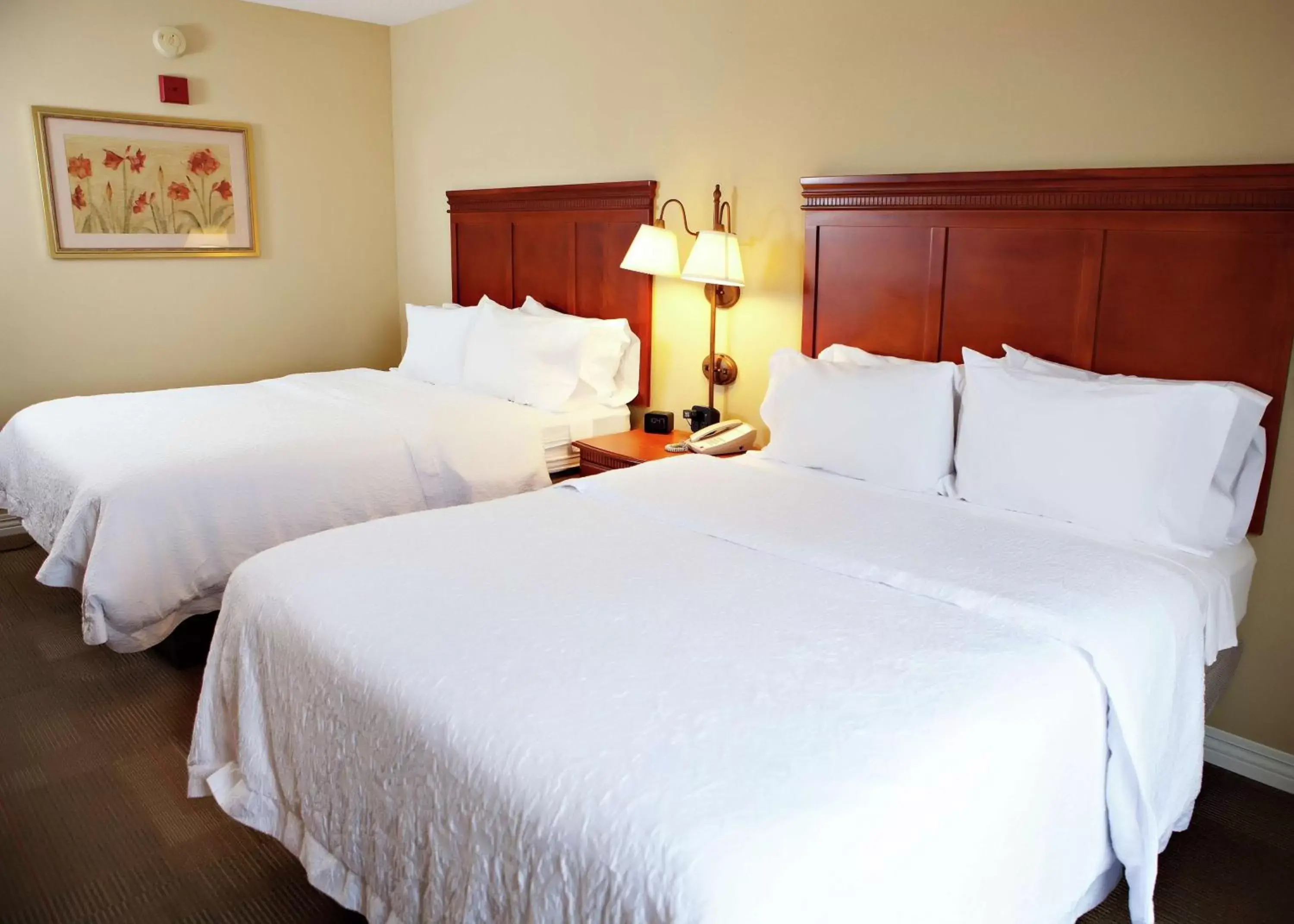 Bed in Hampton Inn Martin Bed in Hampton Inn Martin