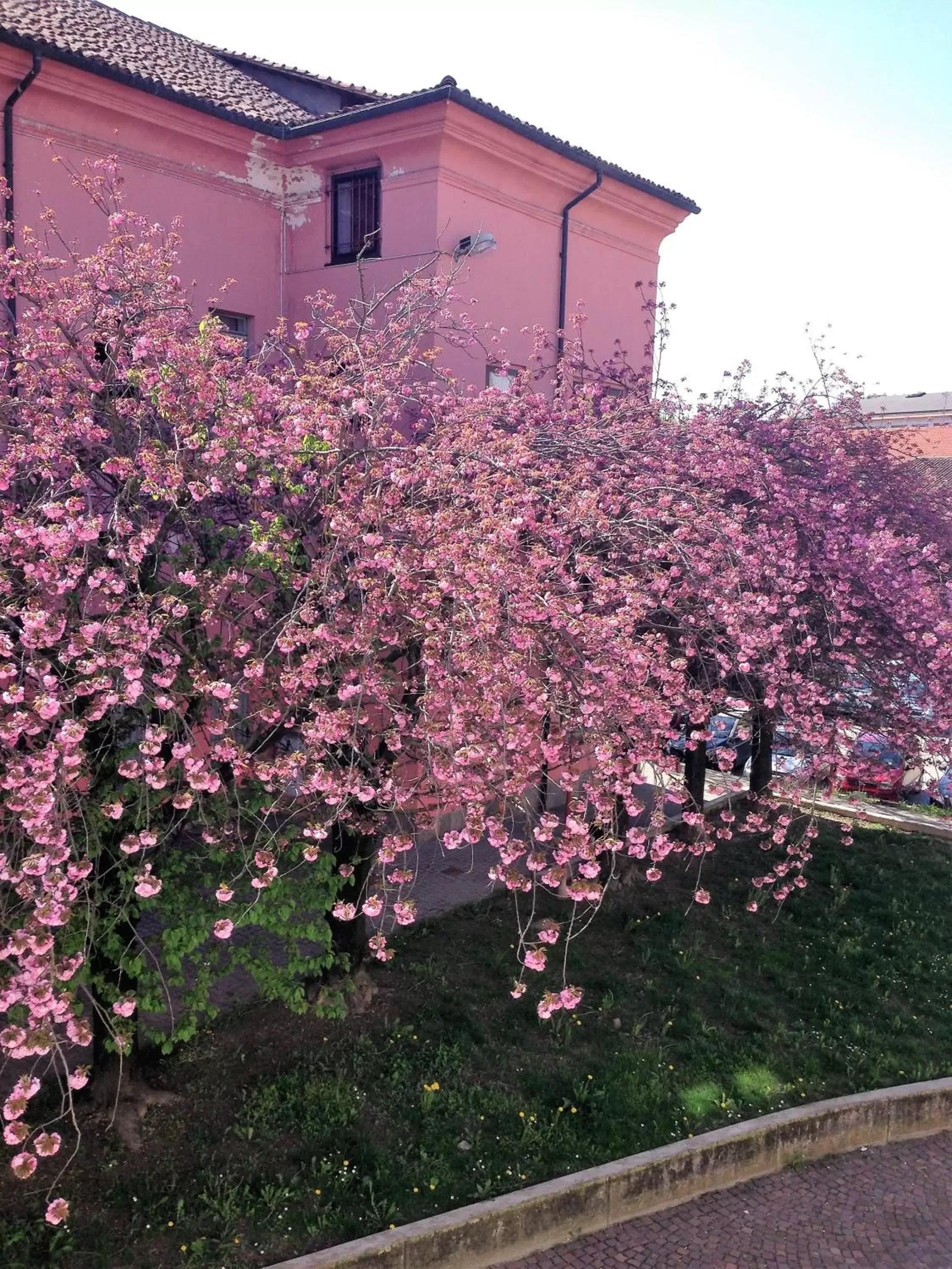 Neighbourhood, Property Building in Casa Agnese