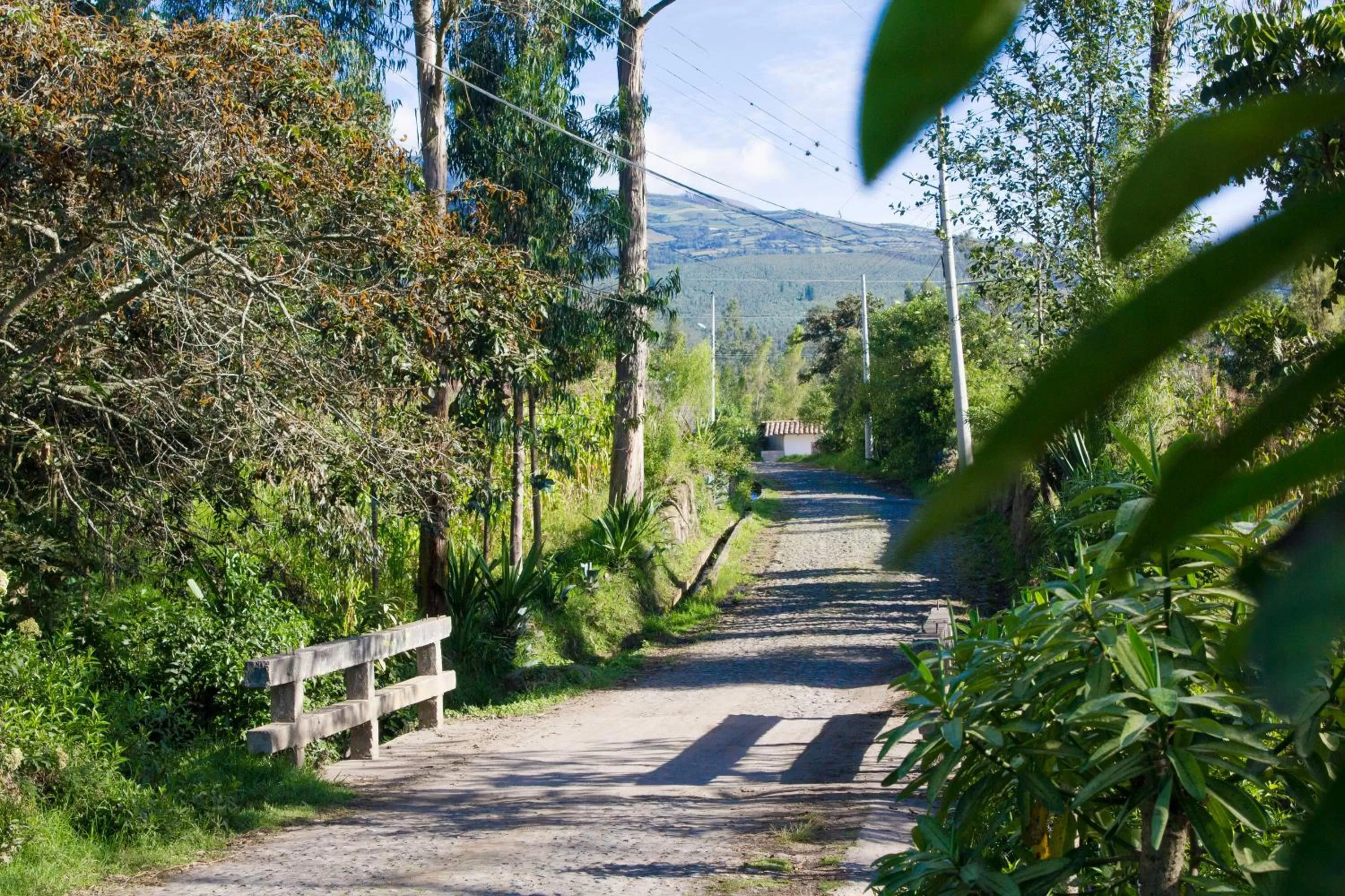 Property building in Kallpa Wasi