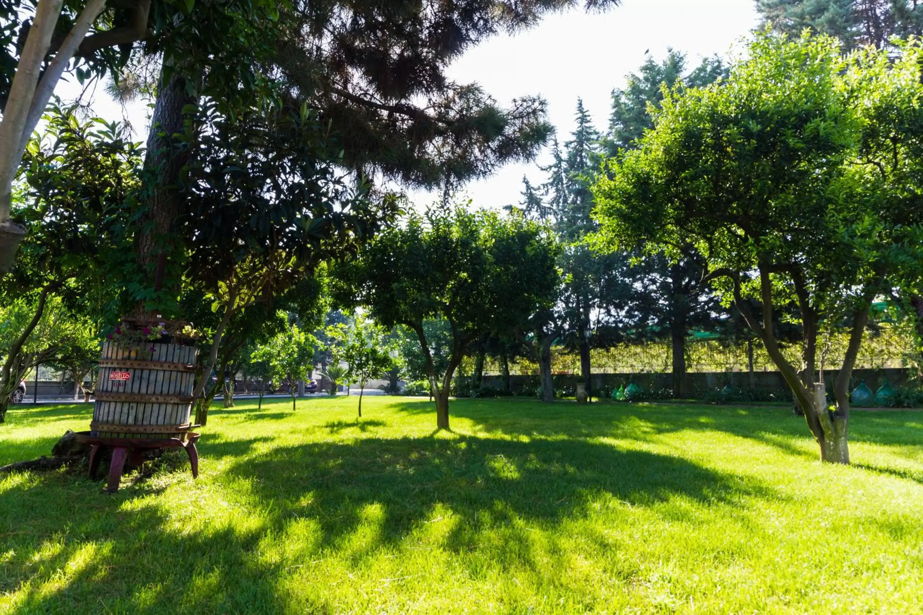 Garden in Resort & Winery Bosco De Medici