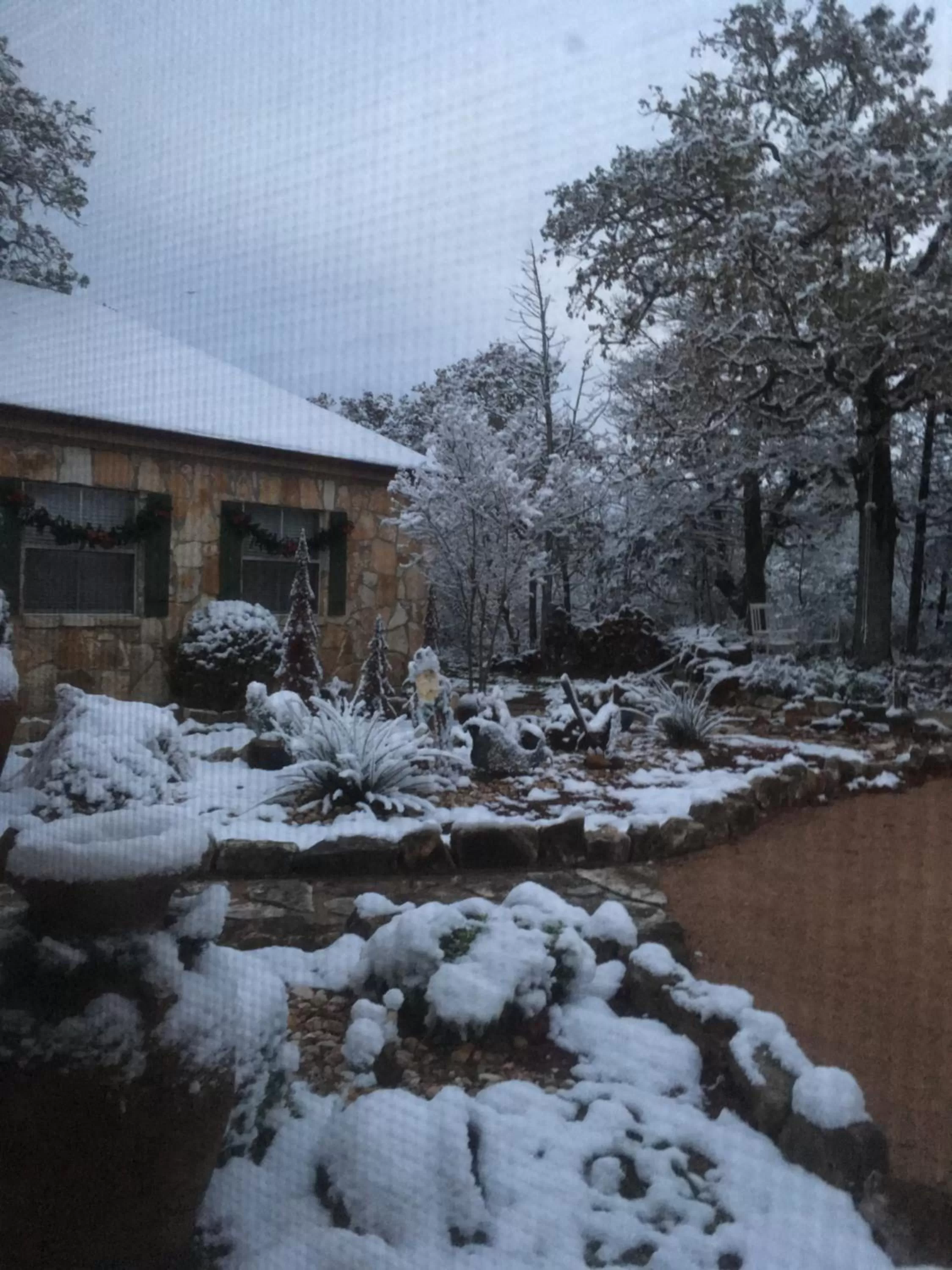 Garden, Winter in Casa del Rio Bed and Breakfast