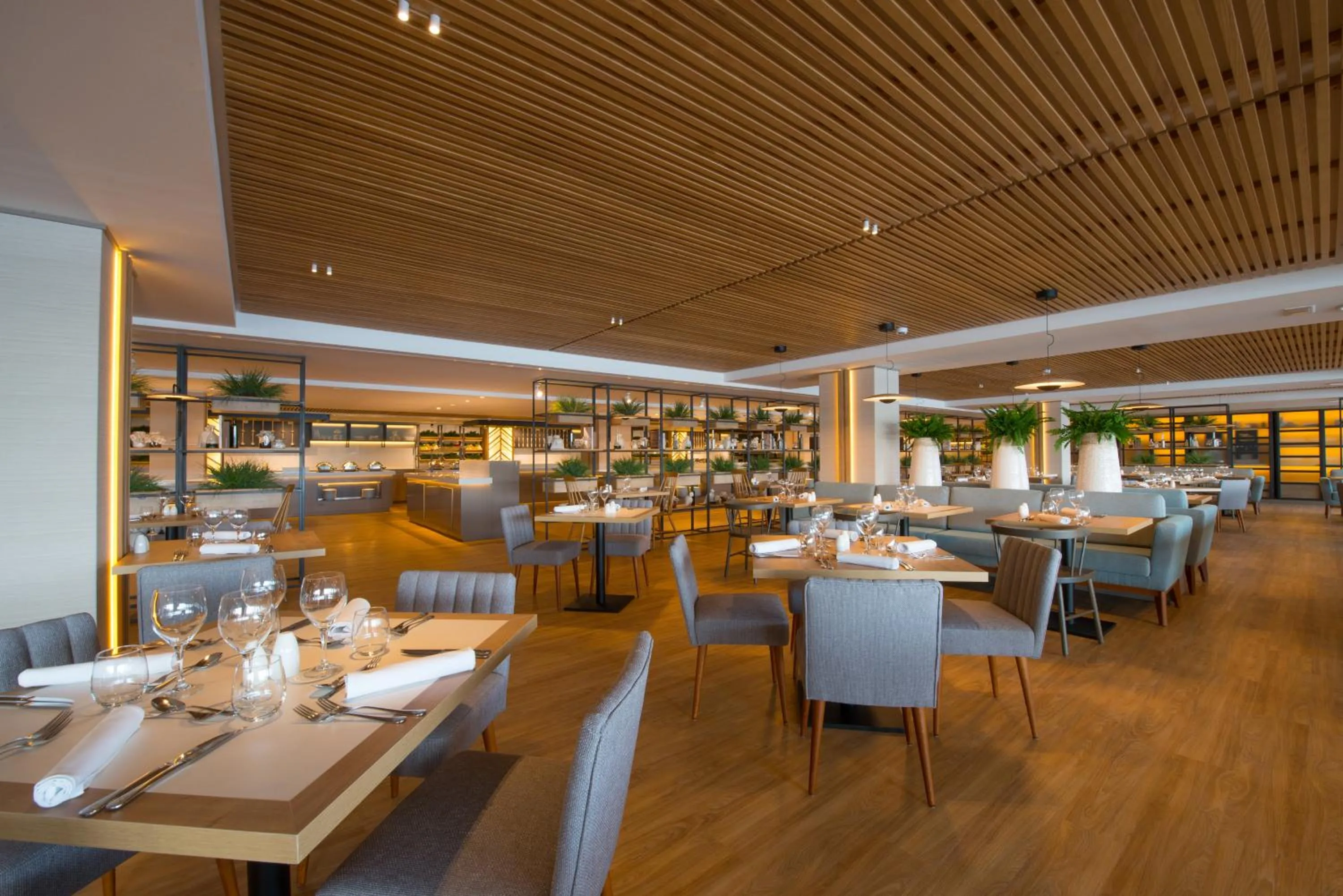 Restaurant/places to eat in Iberostar Selection Jardín del Sol Suites - Adults Only