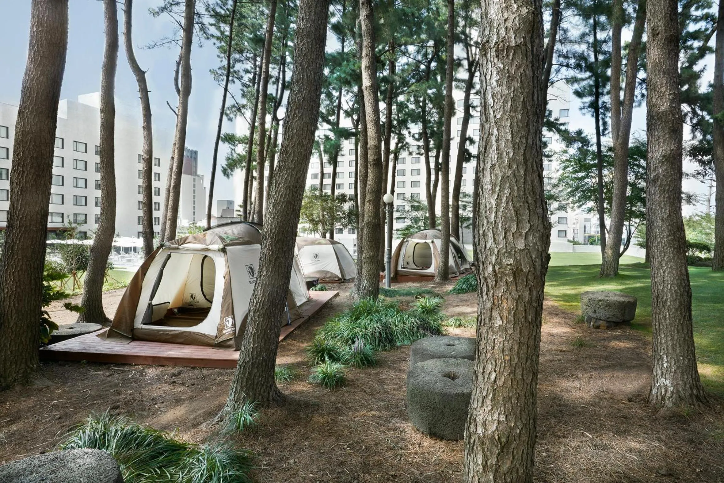 Other in Maison Glad Jeju