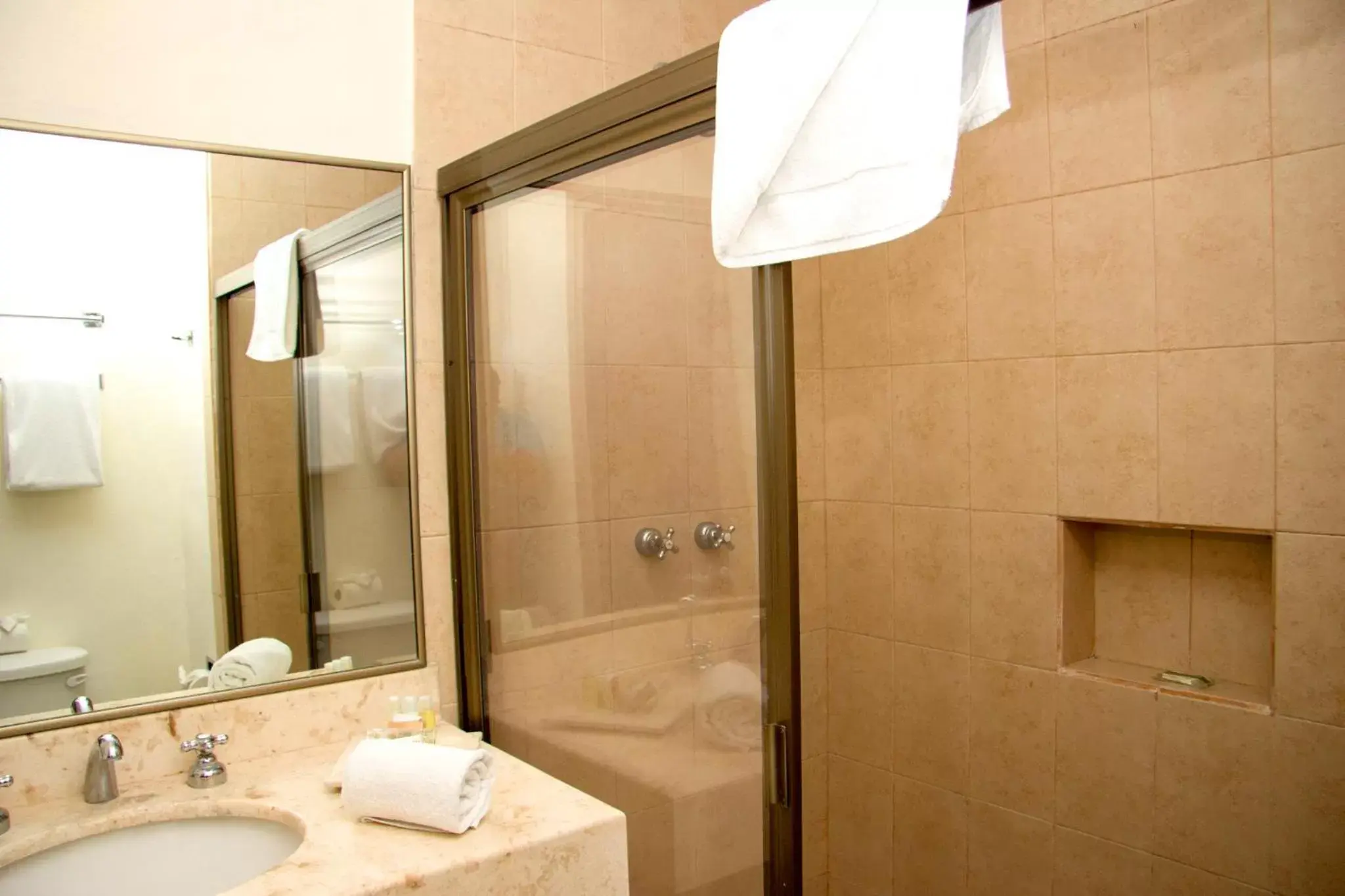 Shower, Bathroom in Mesón de la Luna Hotel & Spa