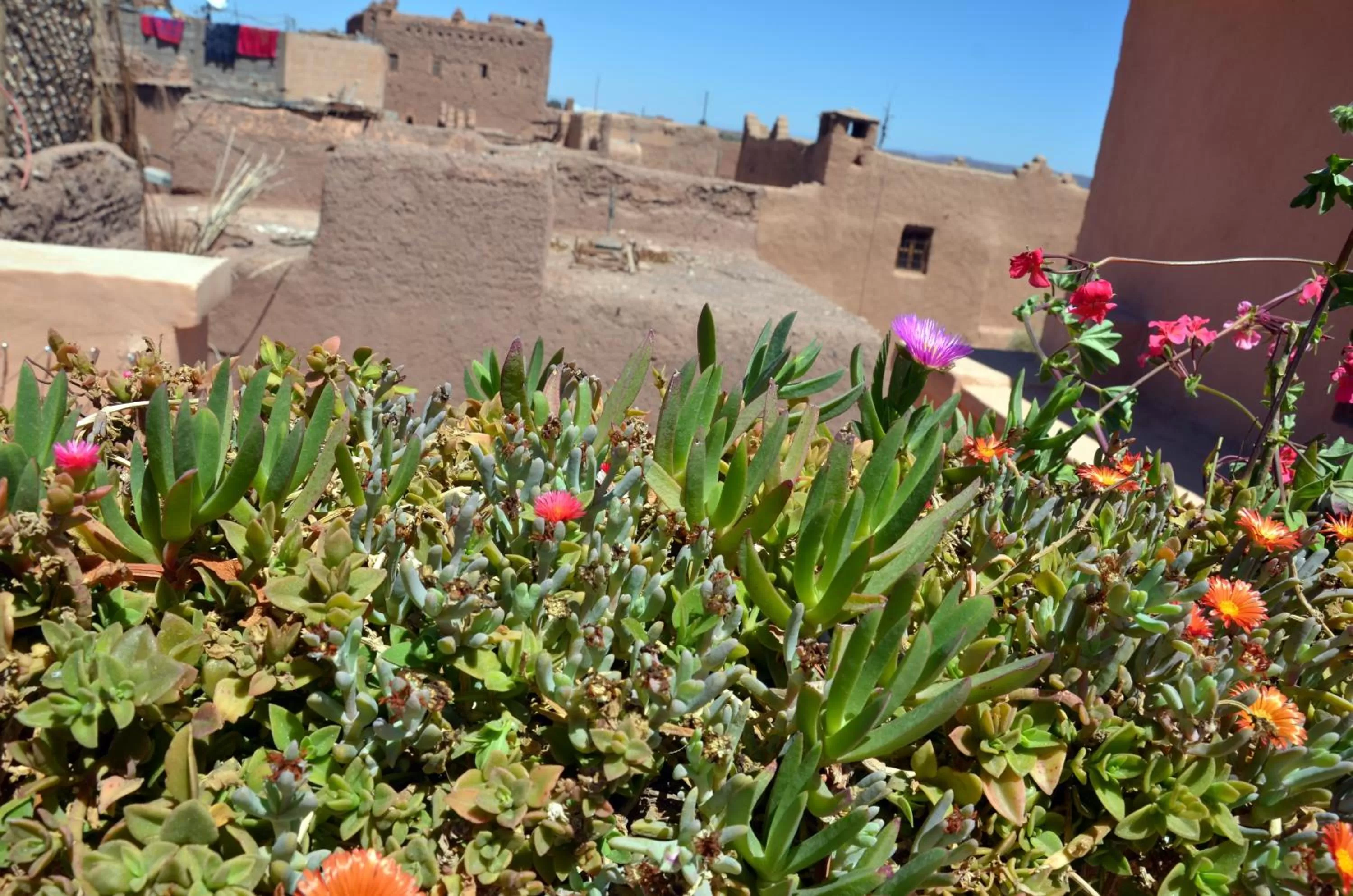 Decorative detail in Maison d'hôtes Dar El Nath