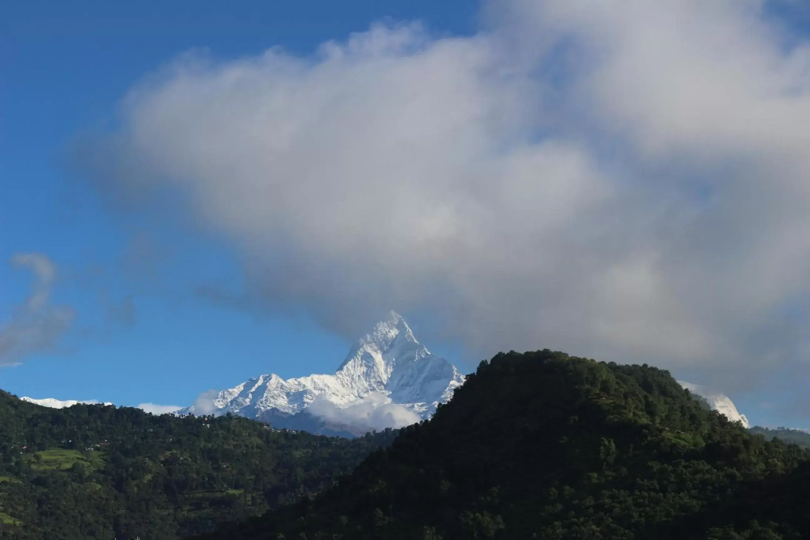 Mountain view, Natural Landscape in Hotel Buttercup