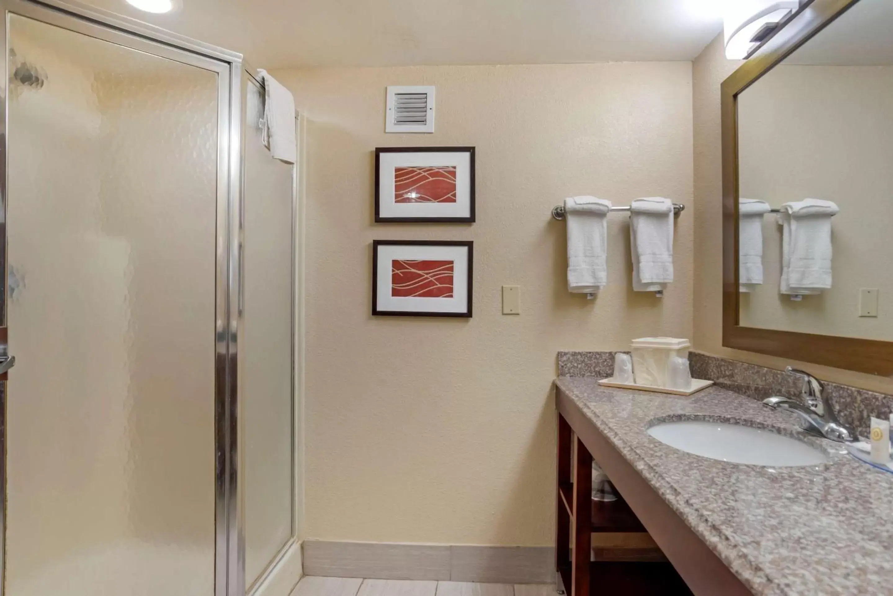 Bathroom in Comfort Inn University Area