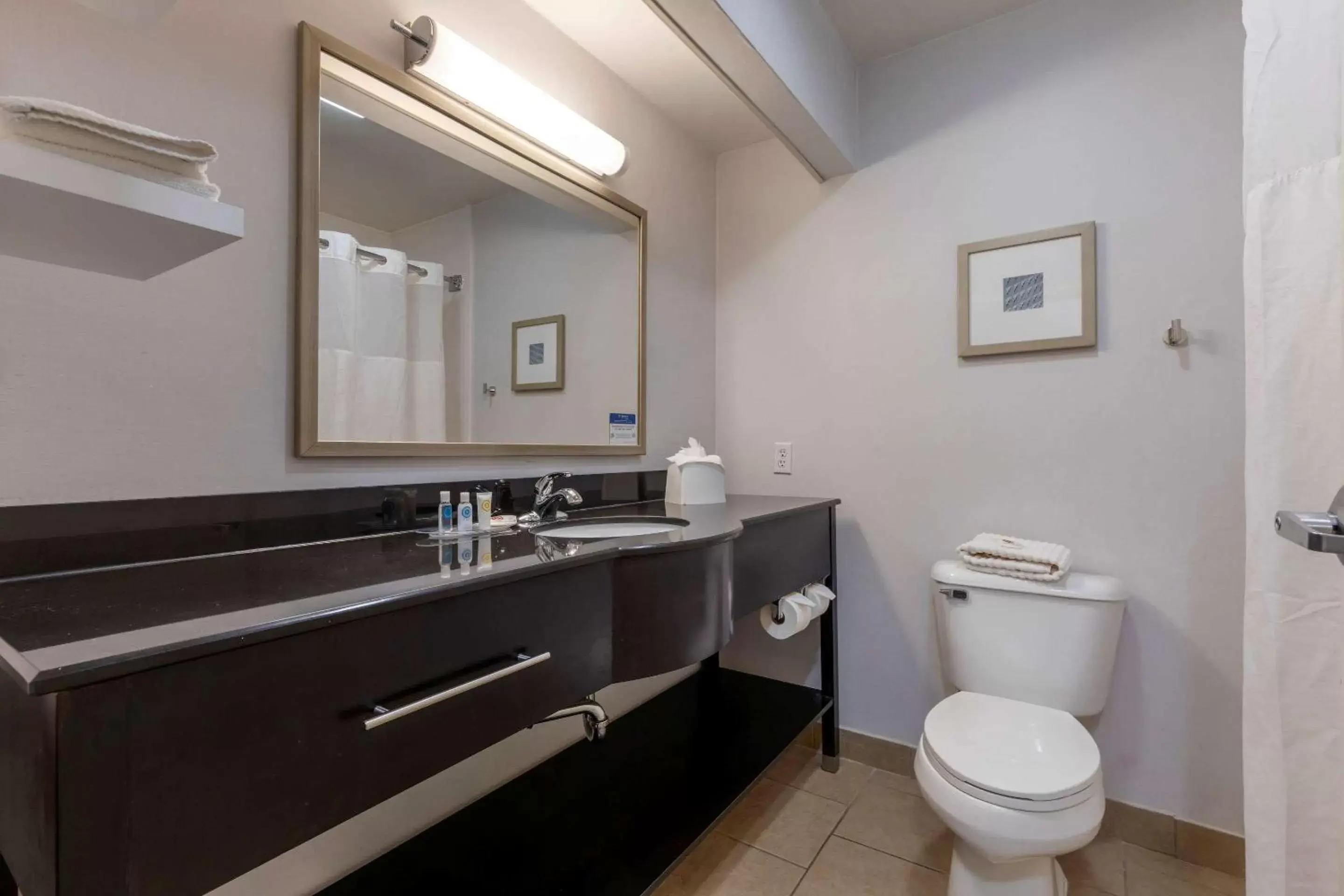 Bathroom in Comfort Inn Sherman