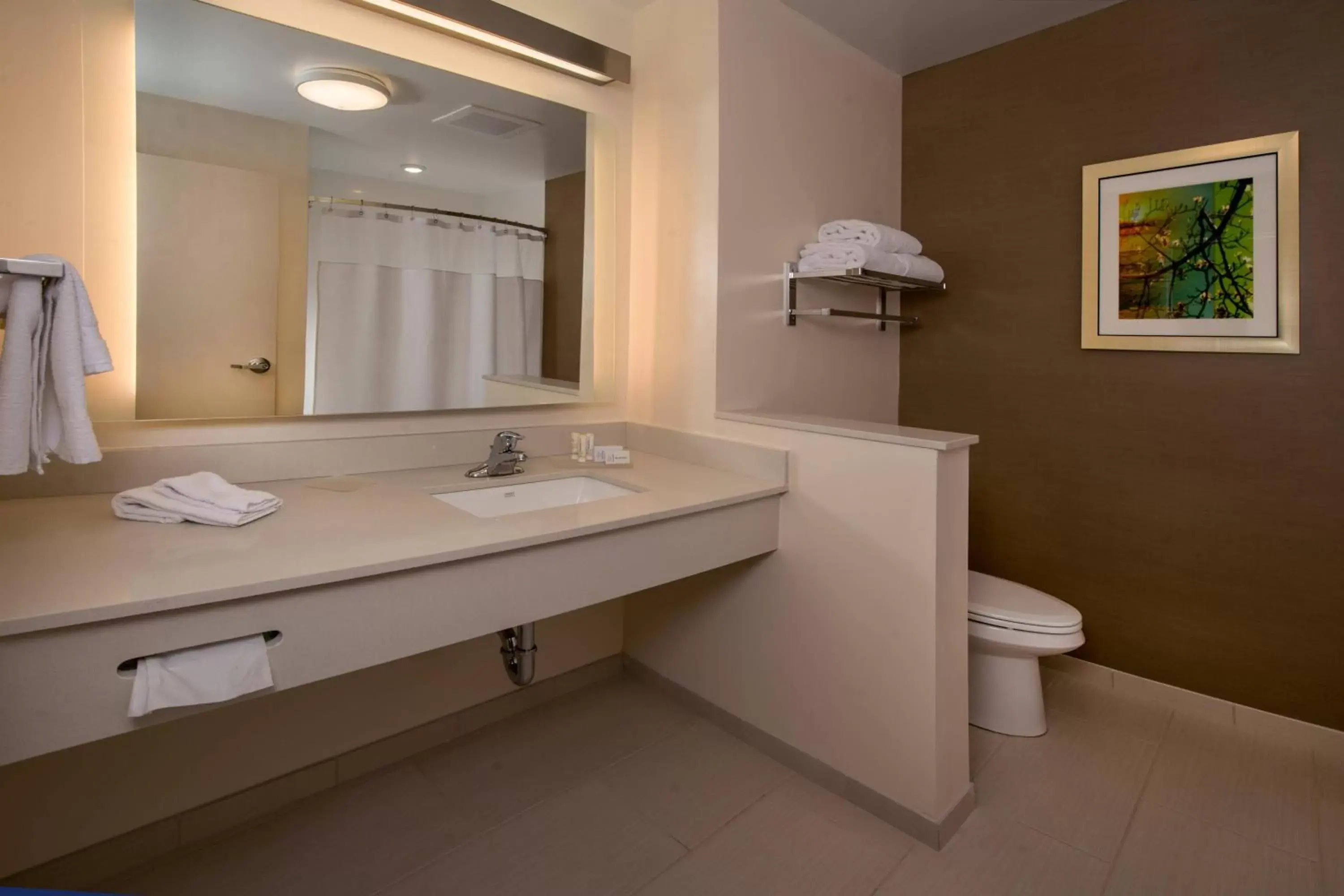 Bathroom in Fairfield Inn & Suites by Marriott Washington
