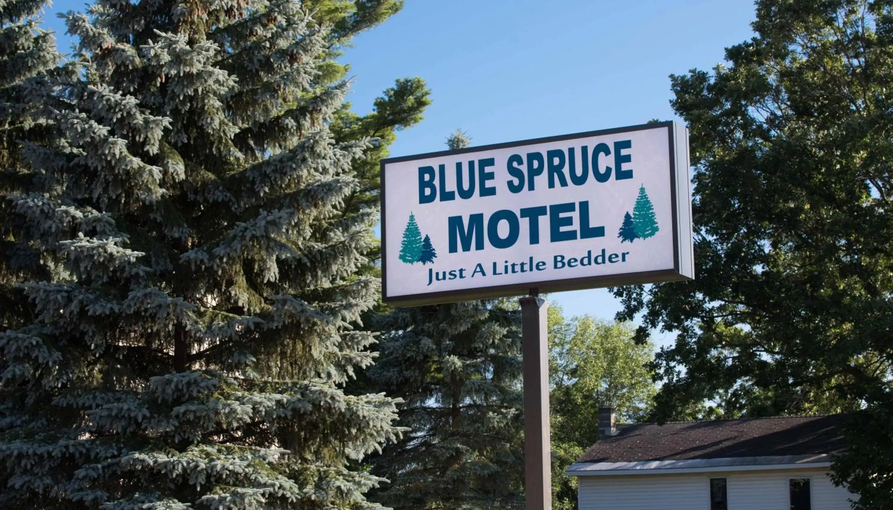 Property logo or sign in Blue Spruce Motel