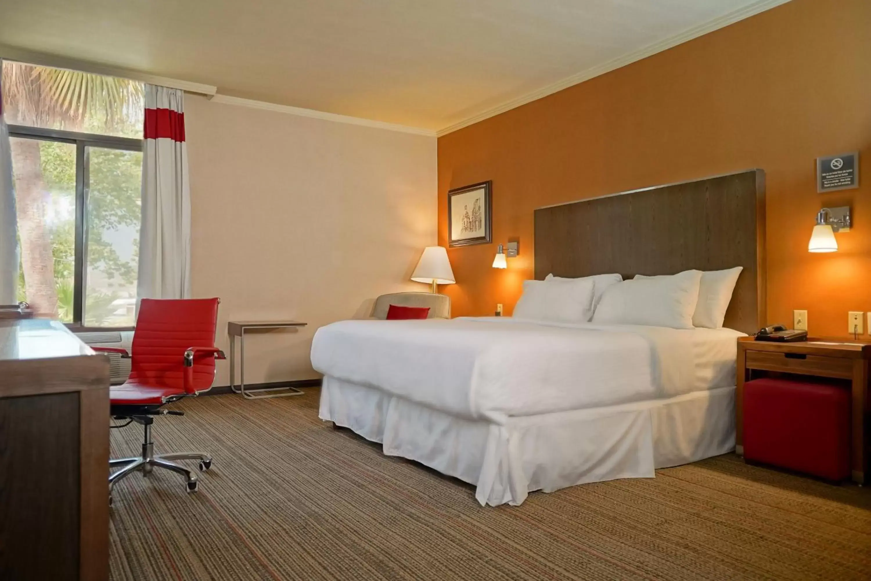 Photo of the whole room, Bed in Four Points by Sheraton Saltillo