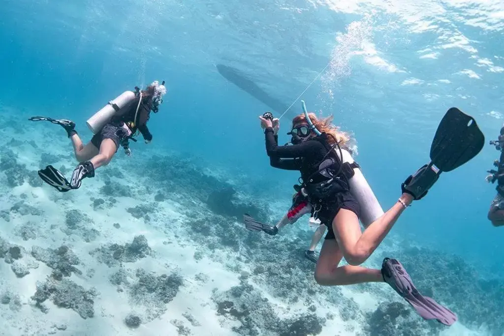 Snorkeling/Diving in Oceans 5 Dive Resort