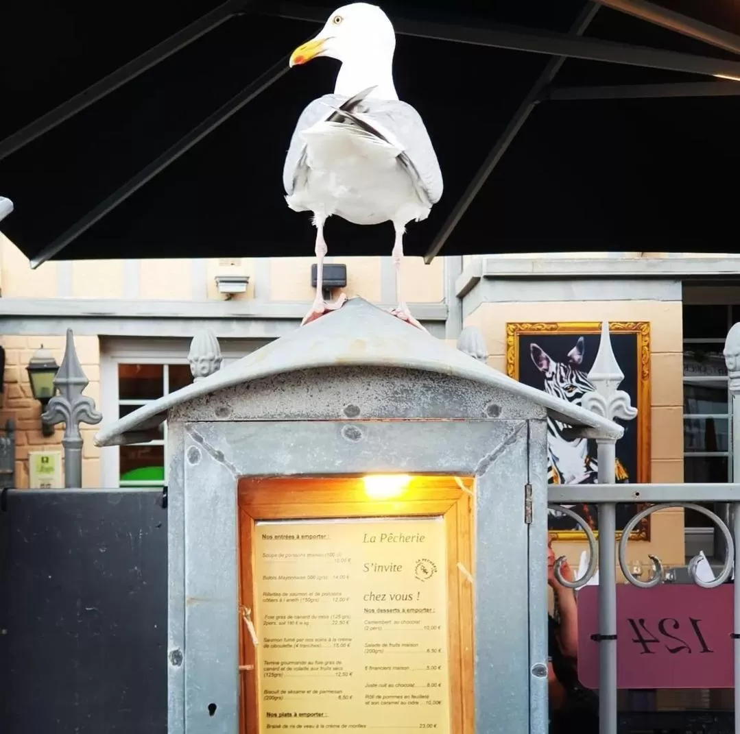 Hotel restaurant La Pêcherie - Le manoir d'à coté - Les 5 ruches -Logis hôtels