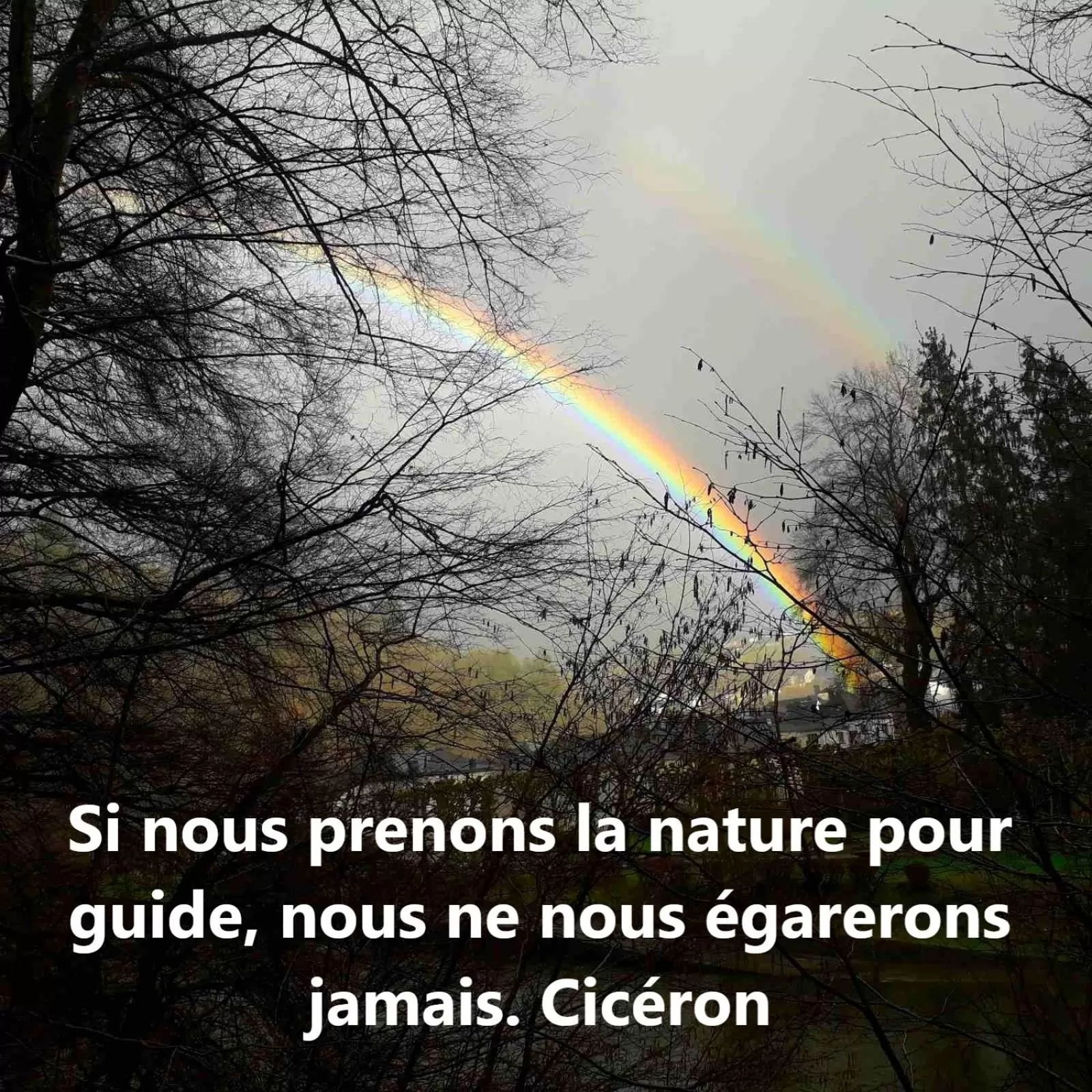 Neighbourhood in Golden Lion