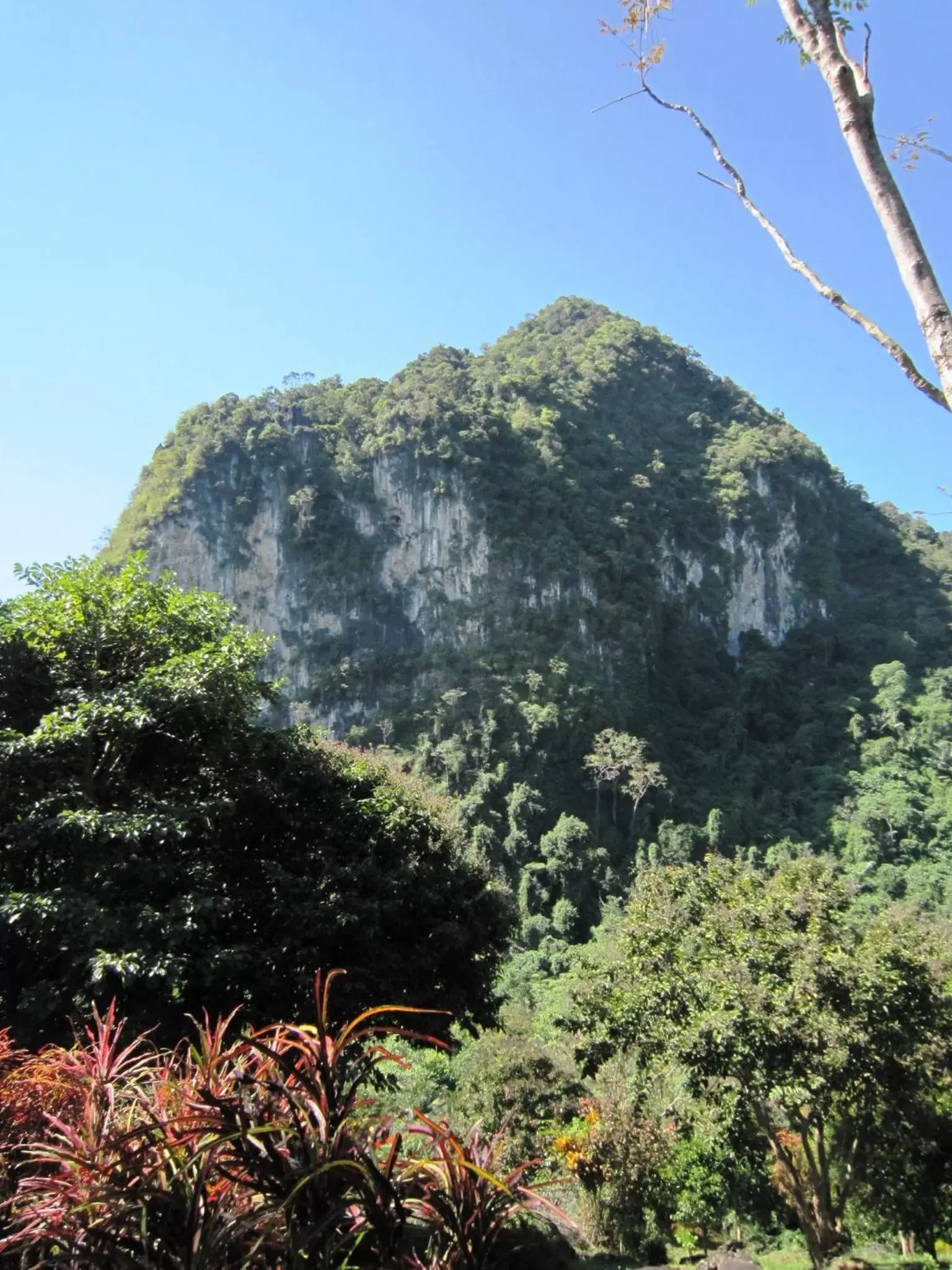 Phanom Bencha Mountain Resort