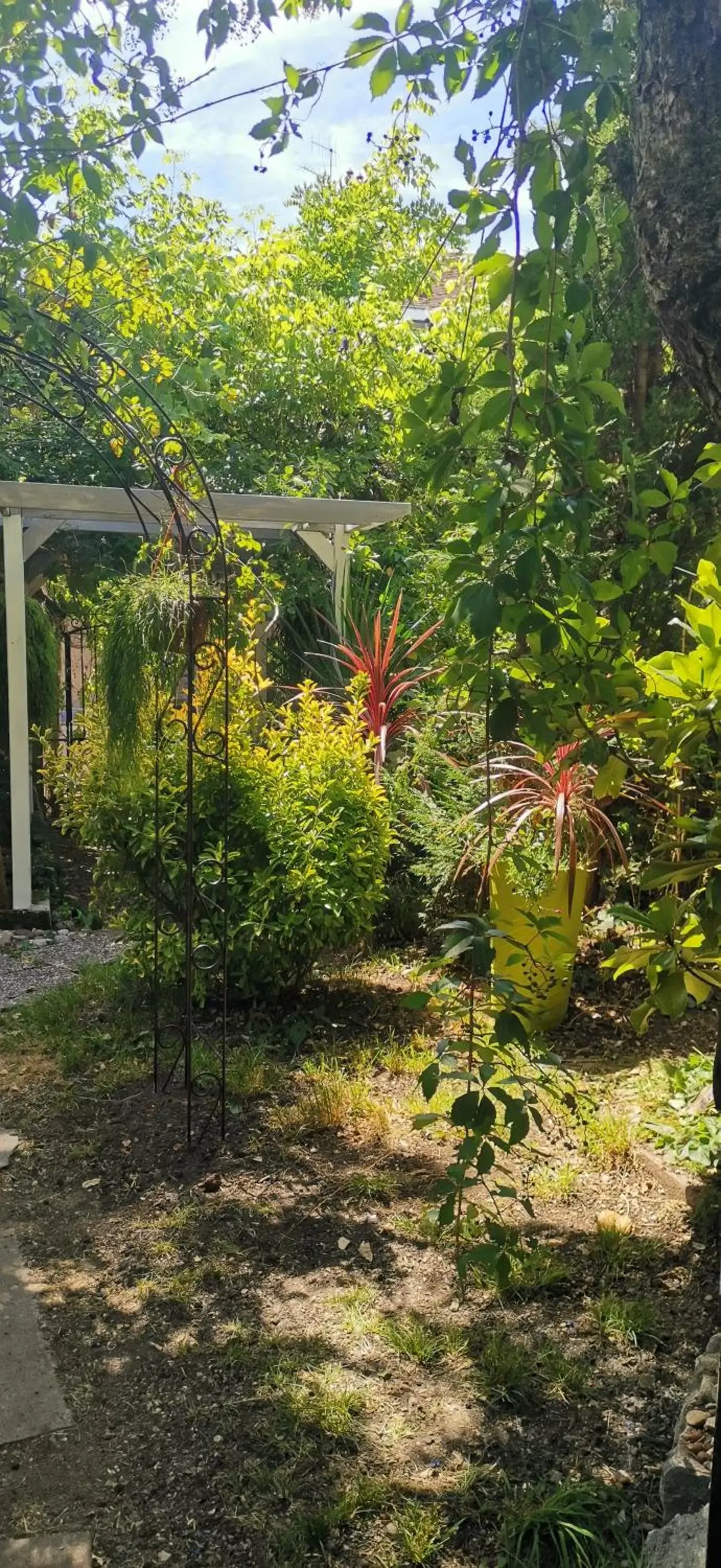 Garden in Hotel Régina