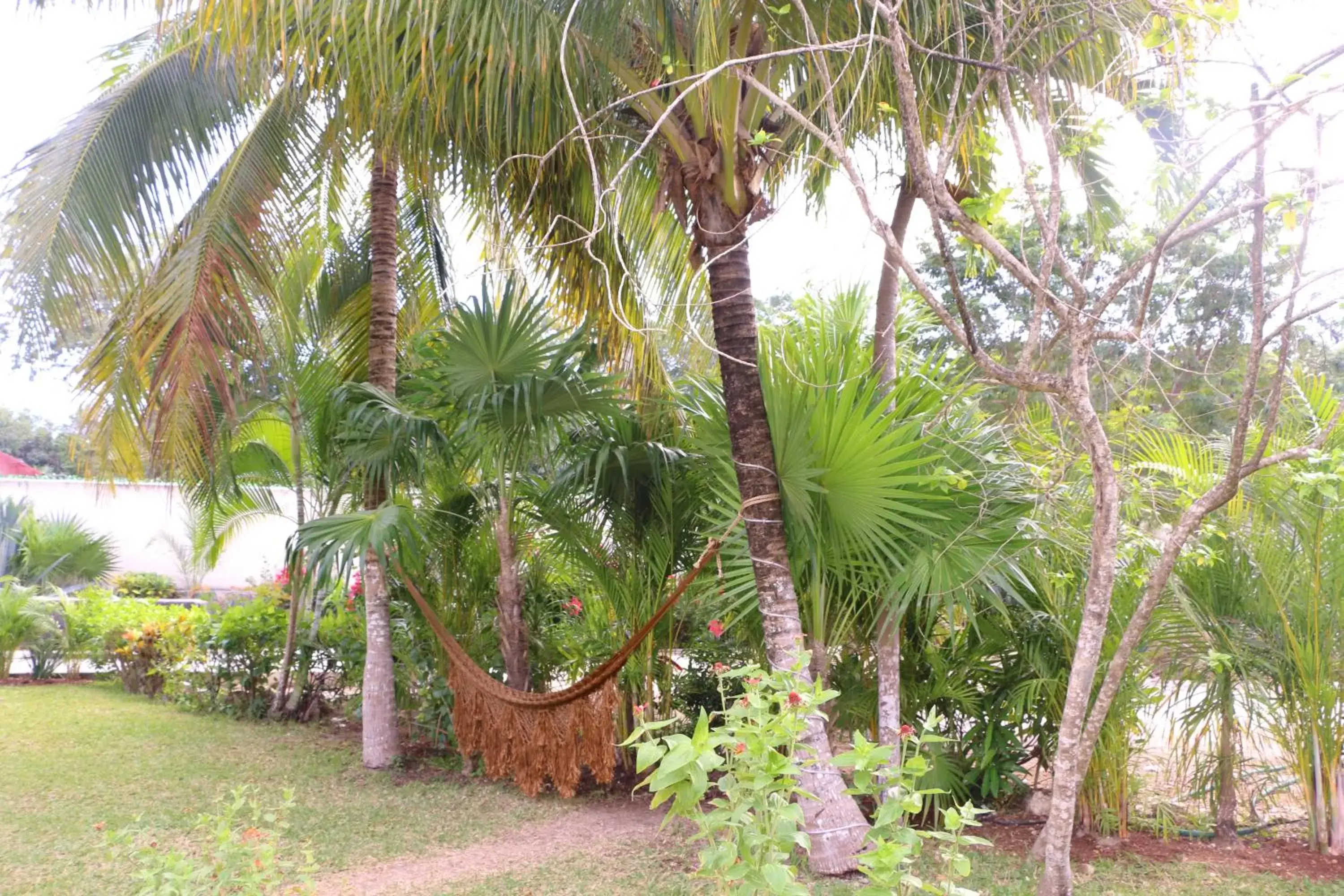 On site, Garden in WishTulum