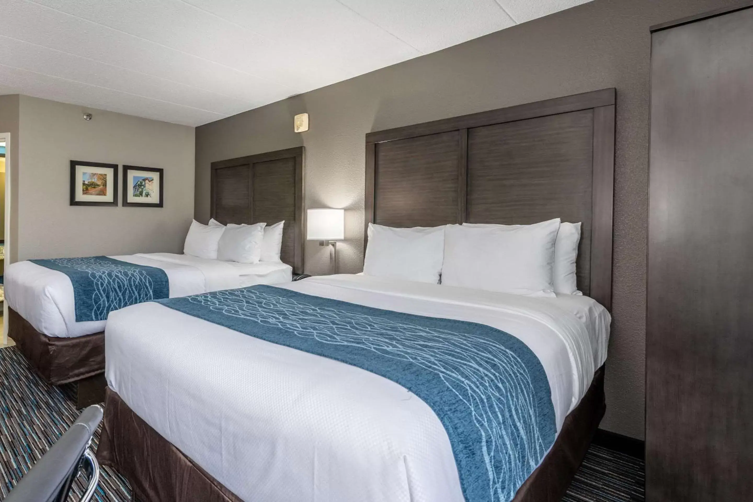 Bedroom, Bed in Comfort Inn Chicago Schaumburg - O'Hare Airport