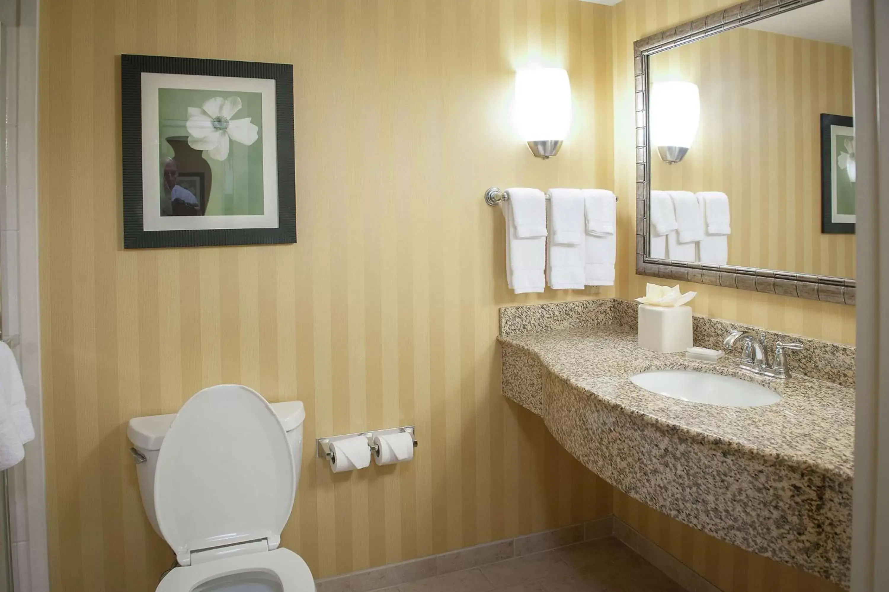 Bathroom in Hilton Garden Inn Pensacola Airport/Medical Center
