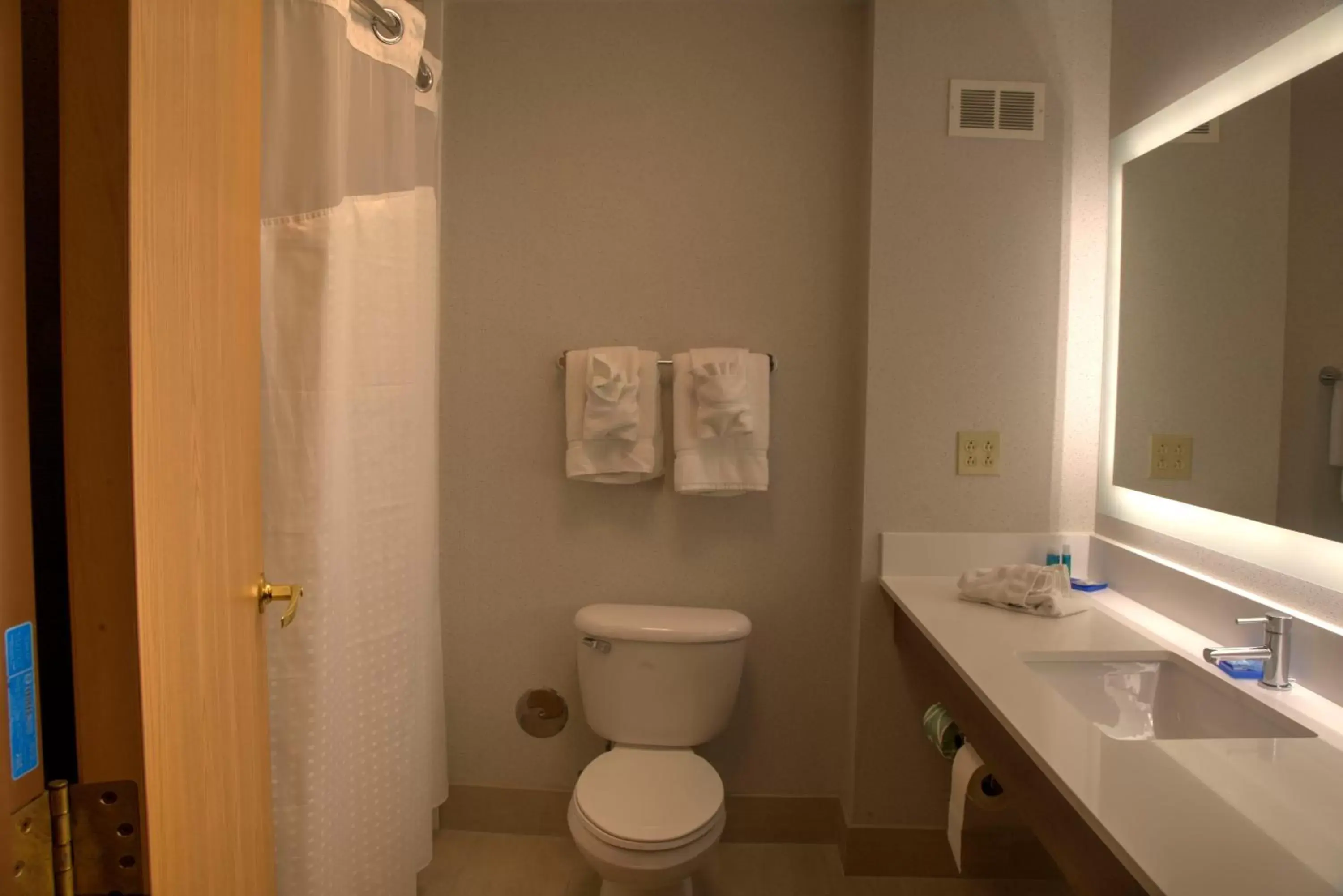 Photo of the whole room, Bathroom in Holiday Inn Express Rochelle, an IHG Hotel