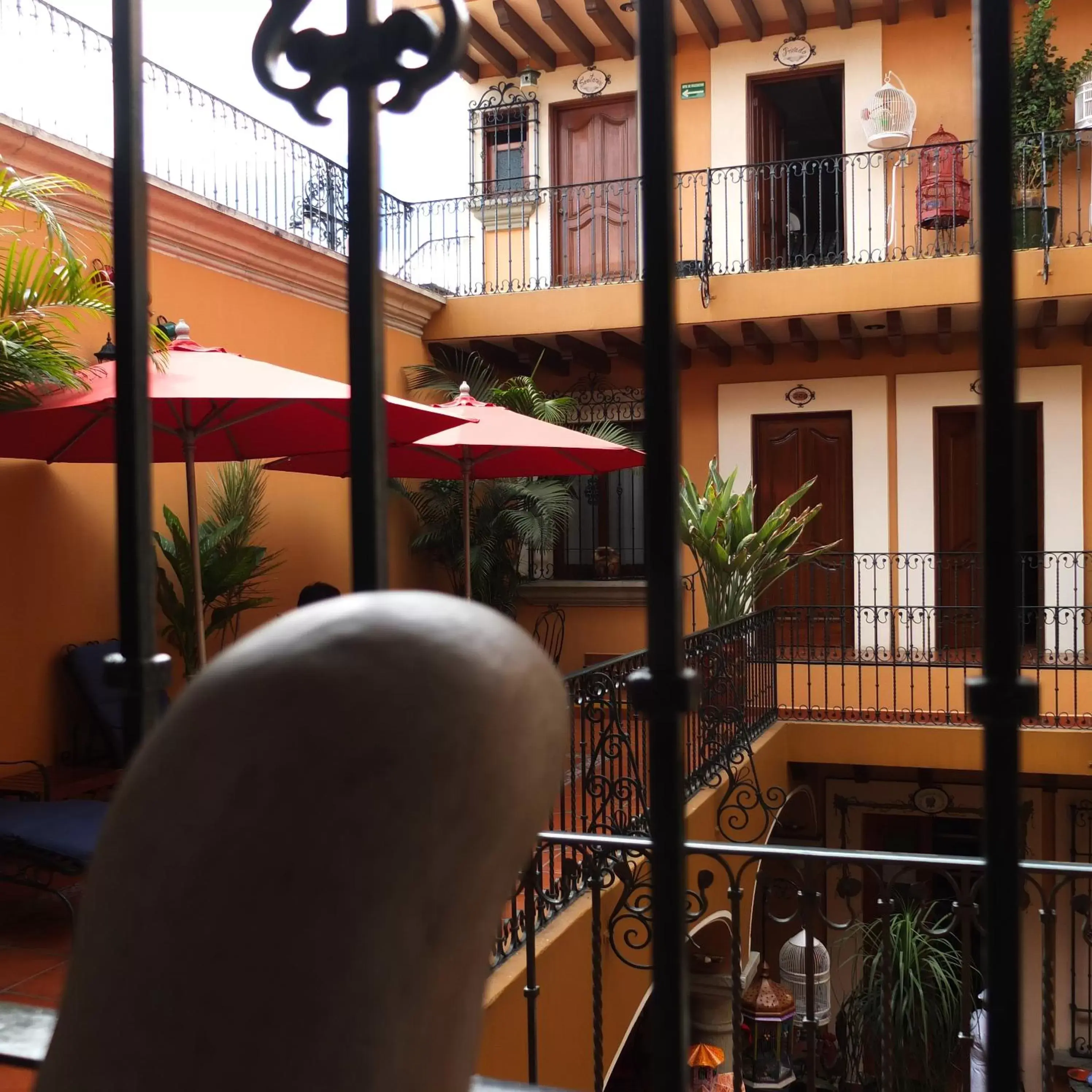 Balcony/Terrace in Hotel Boutique Parador San Miguel Oaxaca