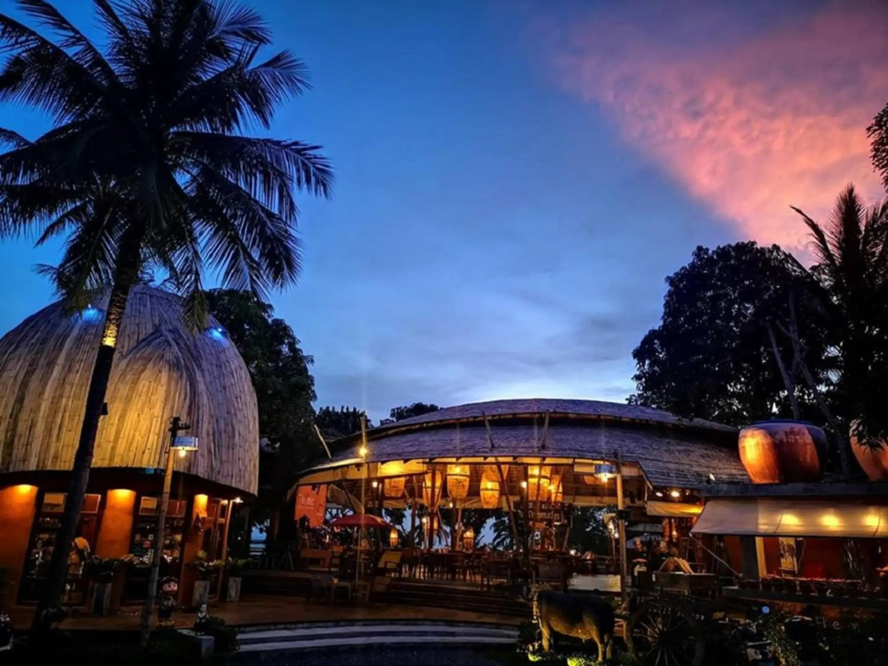 Lobby or reception, Property Building in The Mud - Eco Hotel