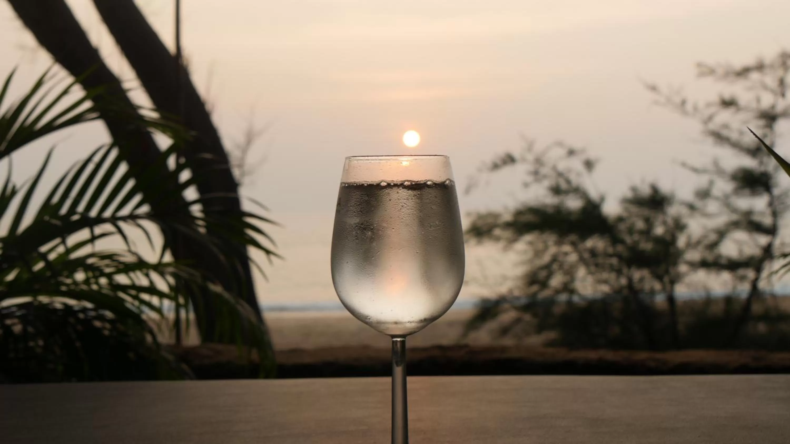 Alcoholic drinks in Peace Garden Beach Resort