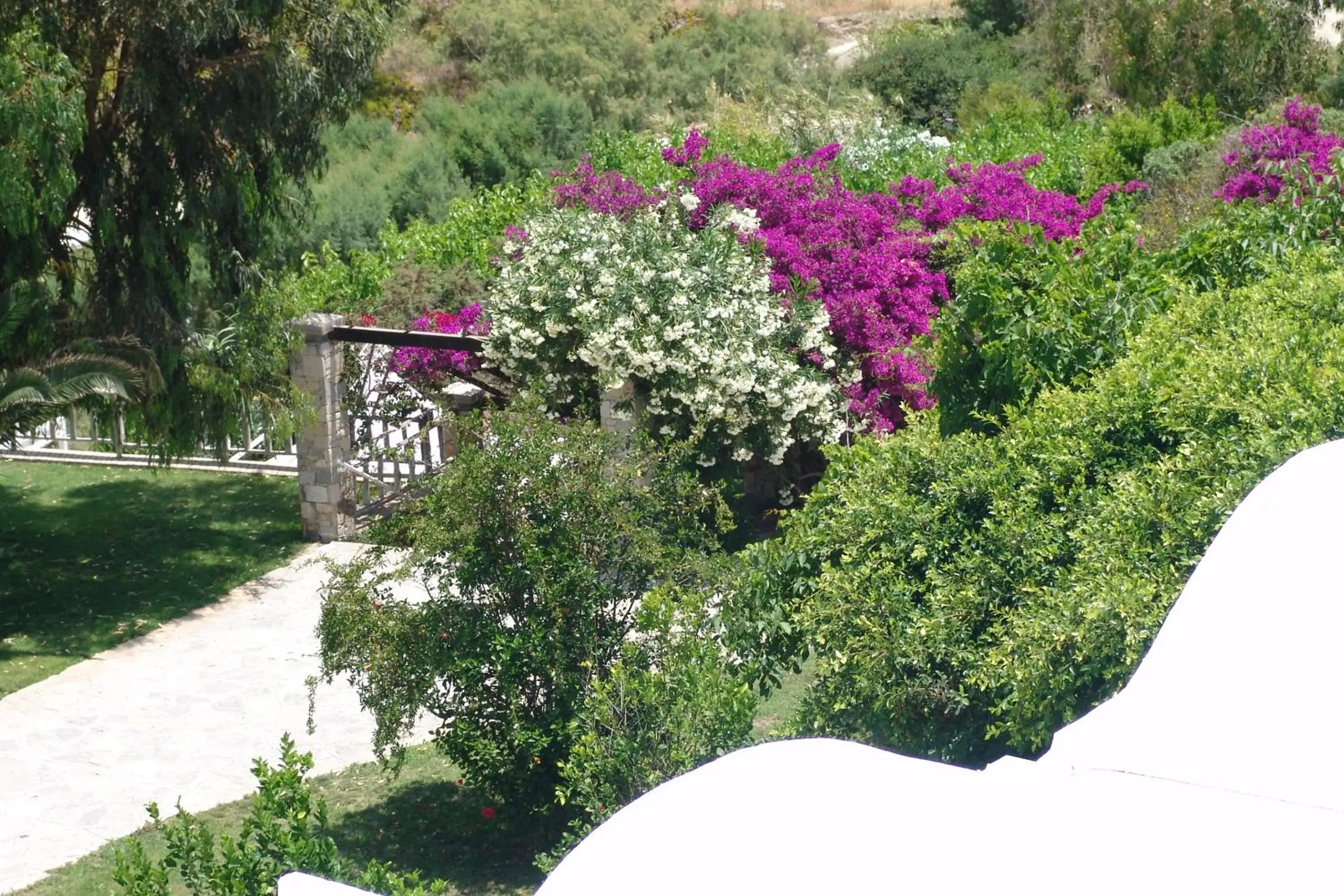Natural landscape, Garden in Istron Bay Hotel