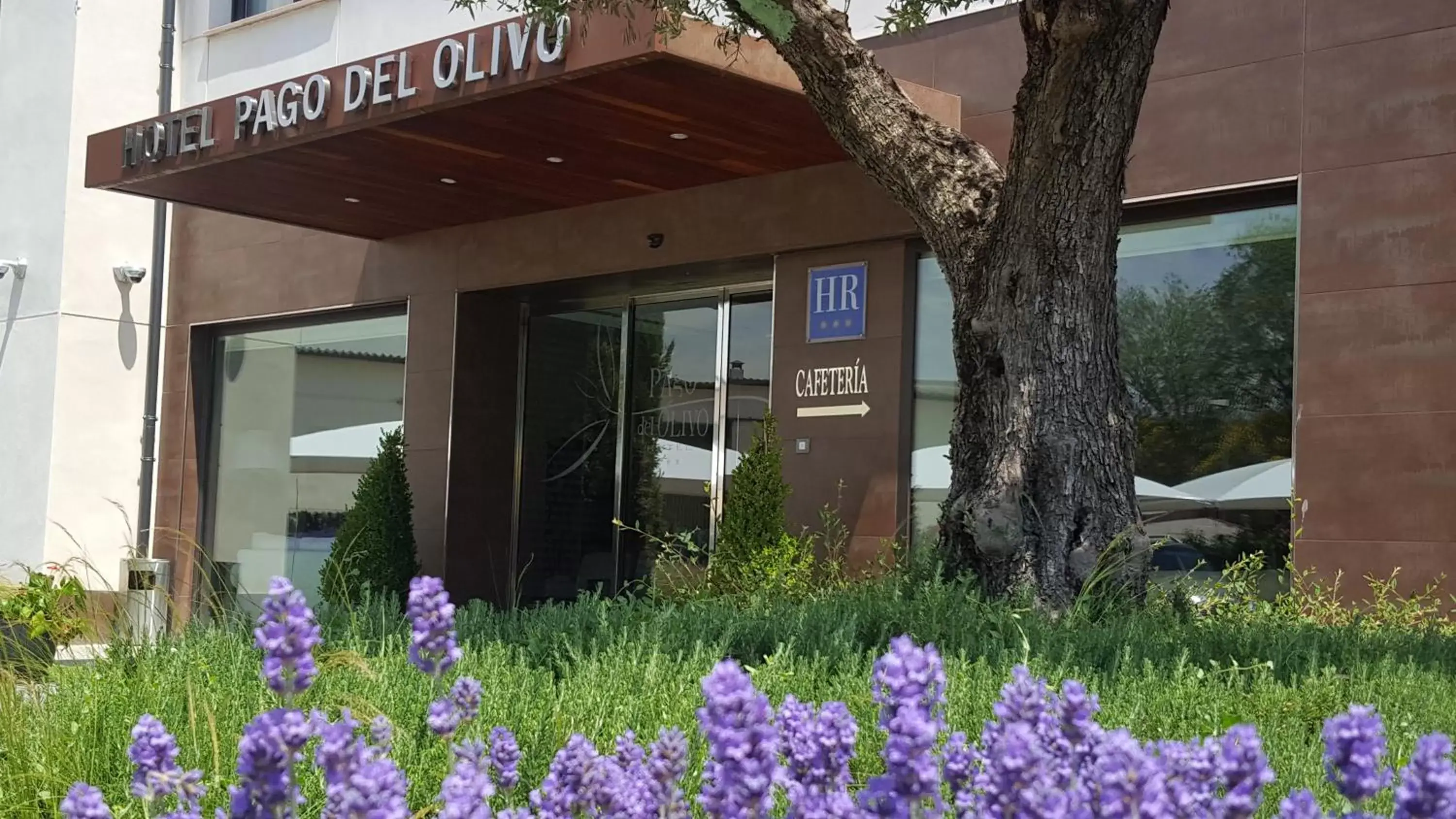 Facade/entrance in Hotel Pago del Olivo