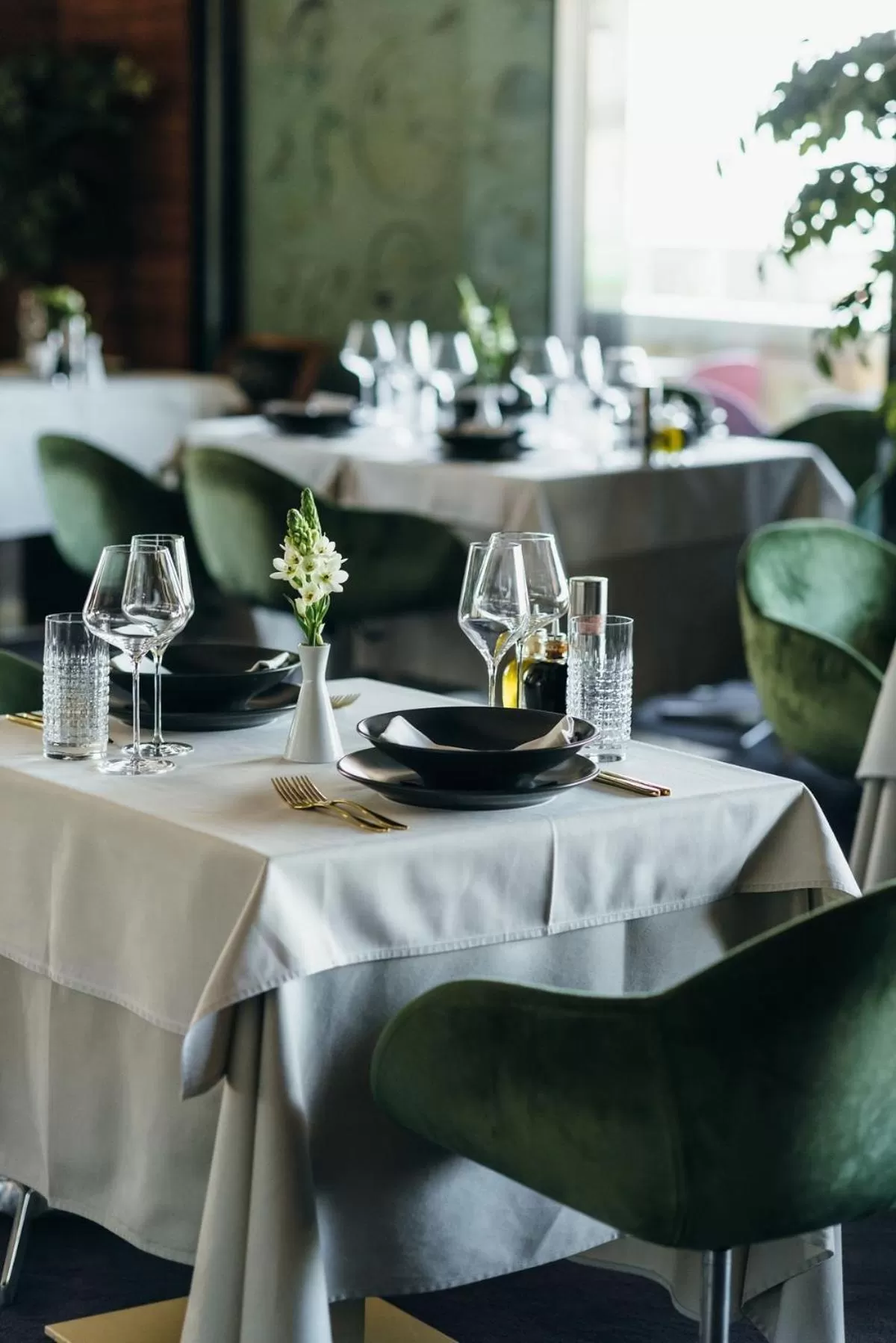 Restaurant/places to eat in Ambasador Hotel