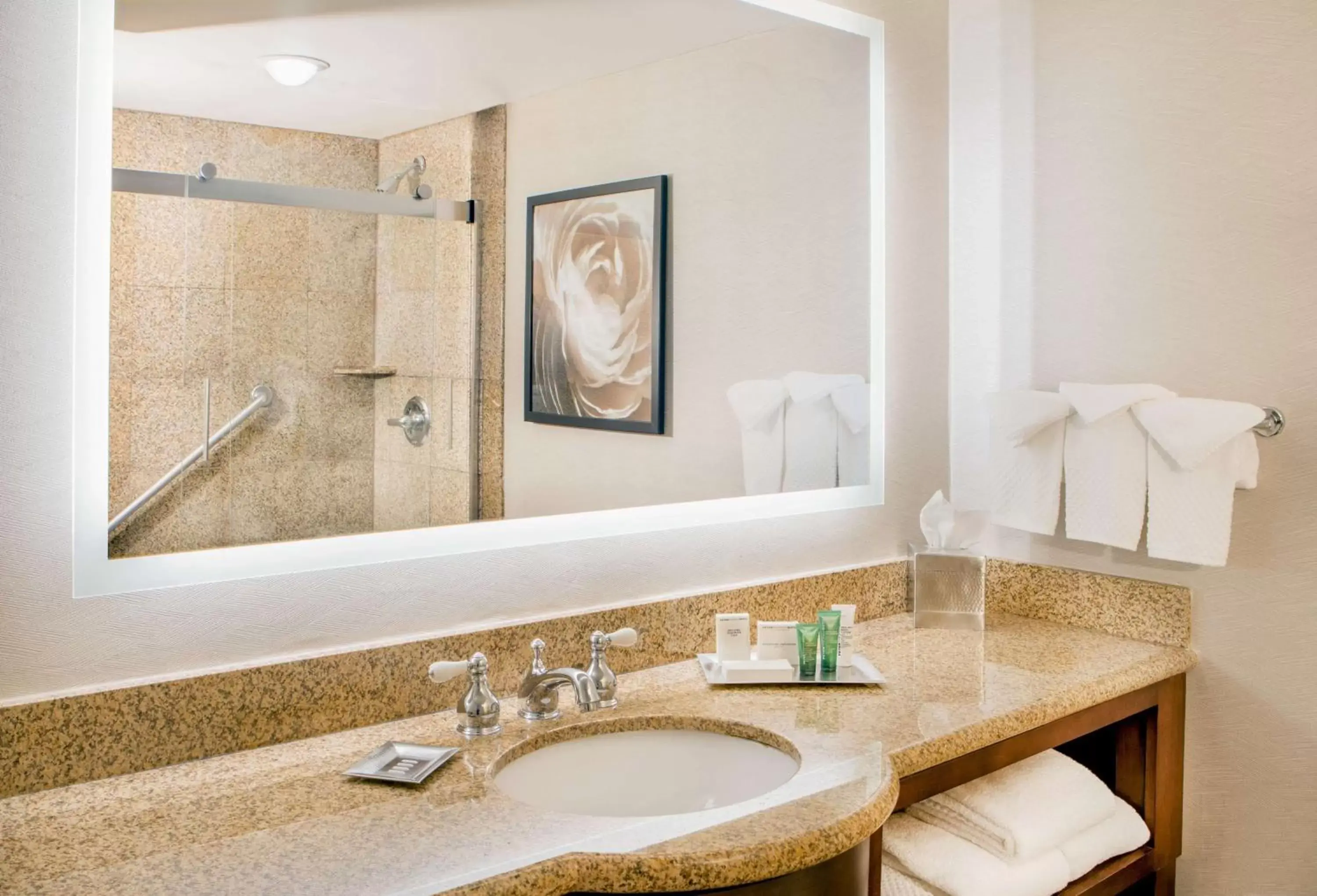 Bathroom in Hilton Wilmington/Christiana Bathroom in Hilton Wilmington/Christiana