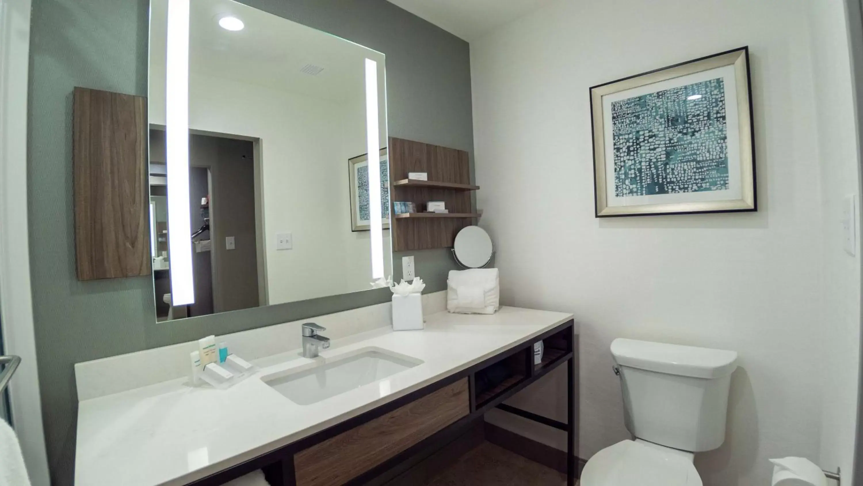 Bathroom in Hilton Garden Inn Spartanburg