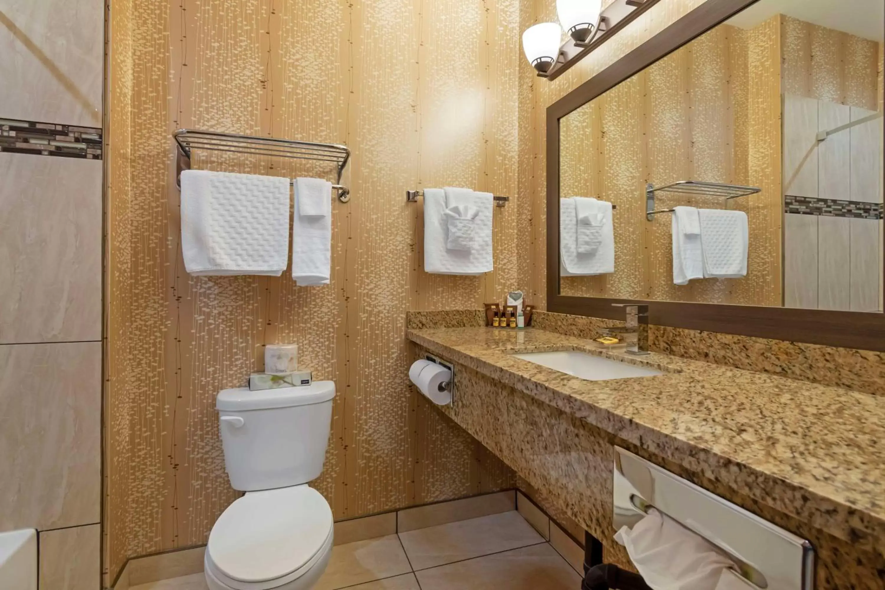 Bathroom in Best Western Plus Moosomin Hotel Bathroom in Best Western Plus Moosomin Hotel