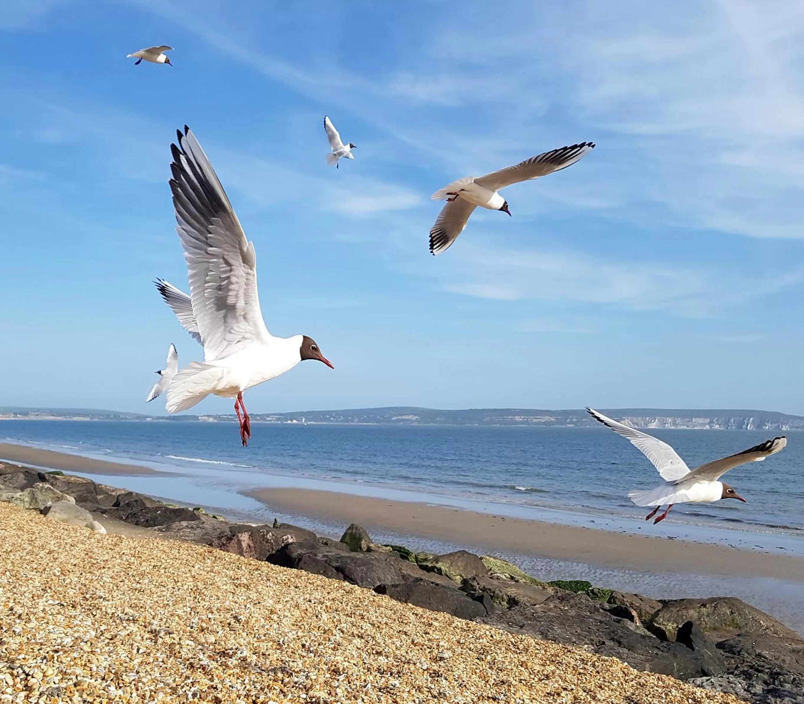 Beach in Wildwood B&B