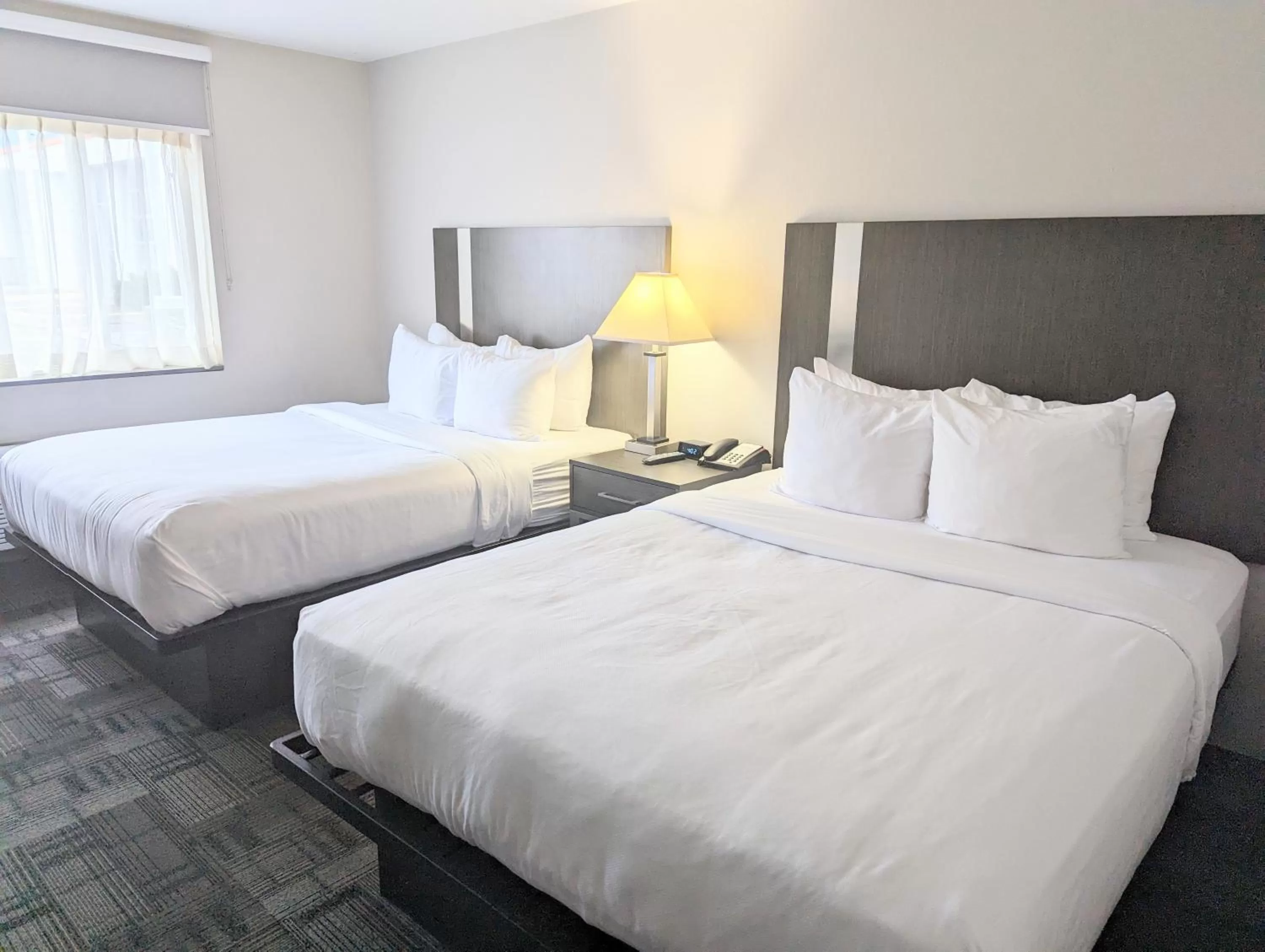 Studio Suite with Two Queen Beds - Non-Smoking in AmericInn by Wyndham Green Bay Near Stadium