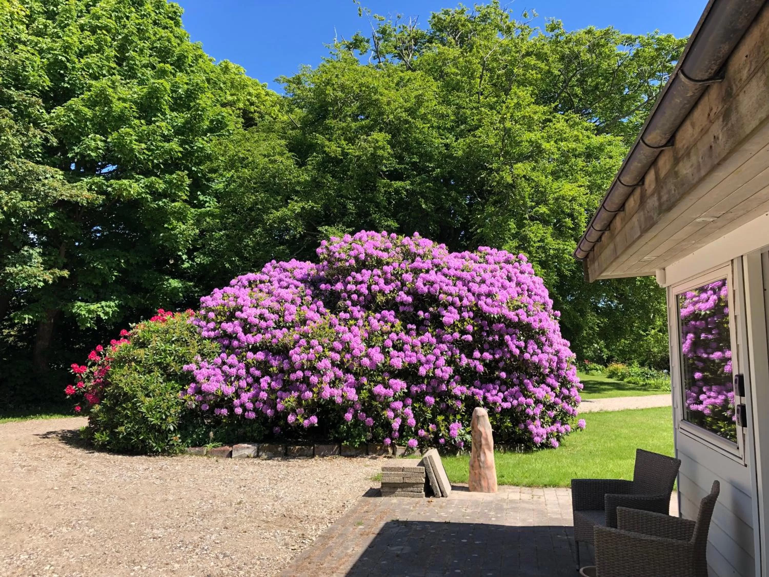 Garden in Landevejens B&B Holstebro